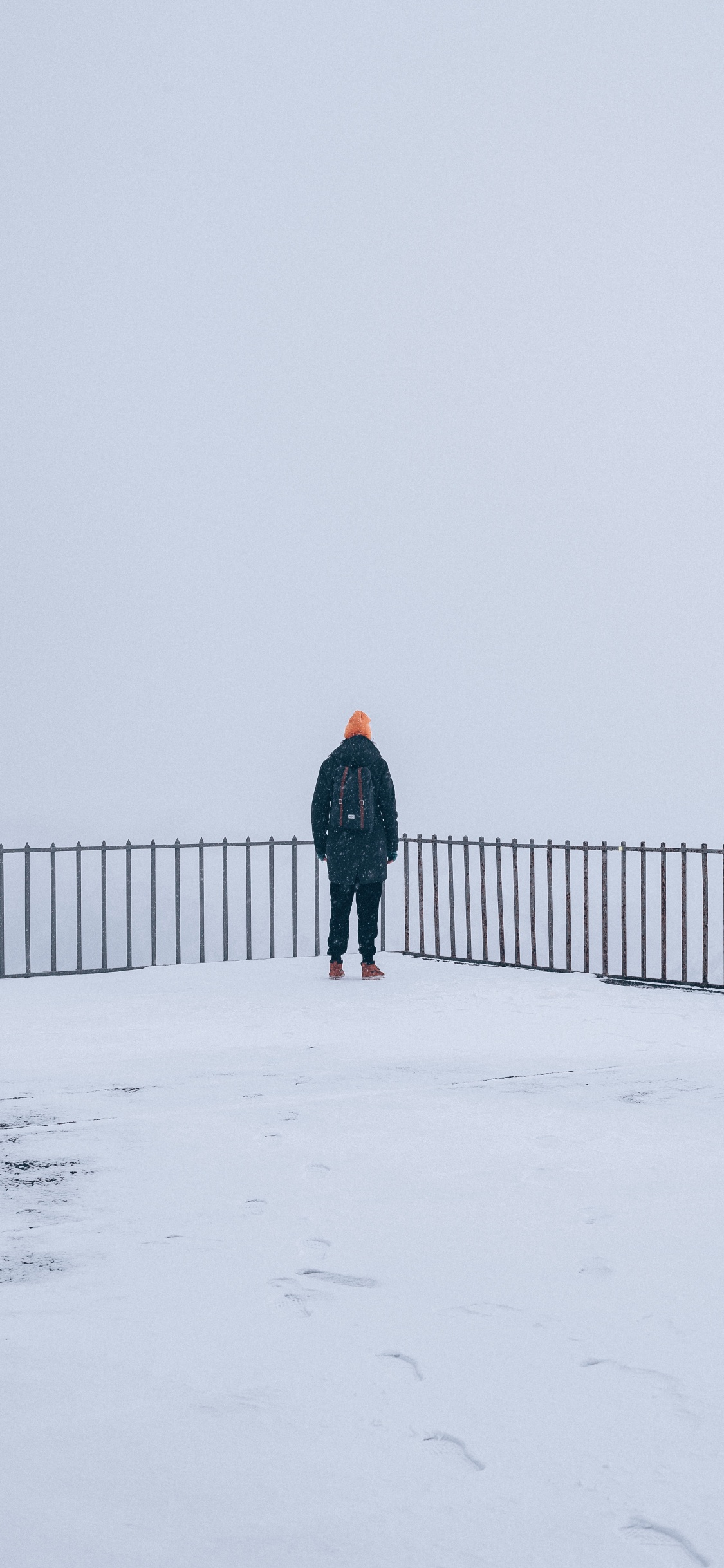 Neige, Hiver, Congélation, Permanent, Brouillard. Wallpaper in 1125x2436 Resolution