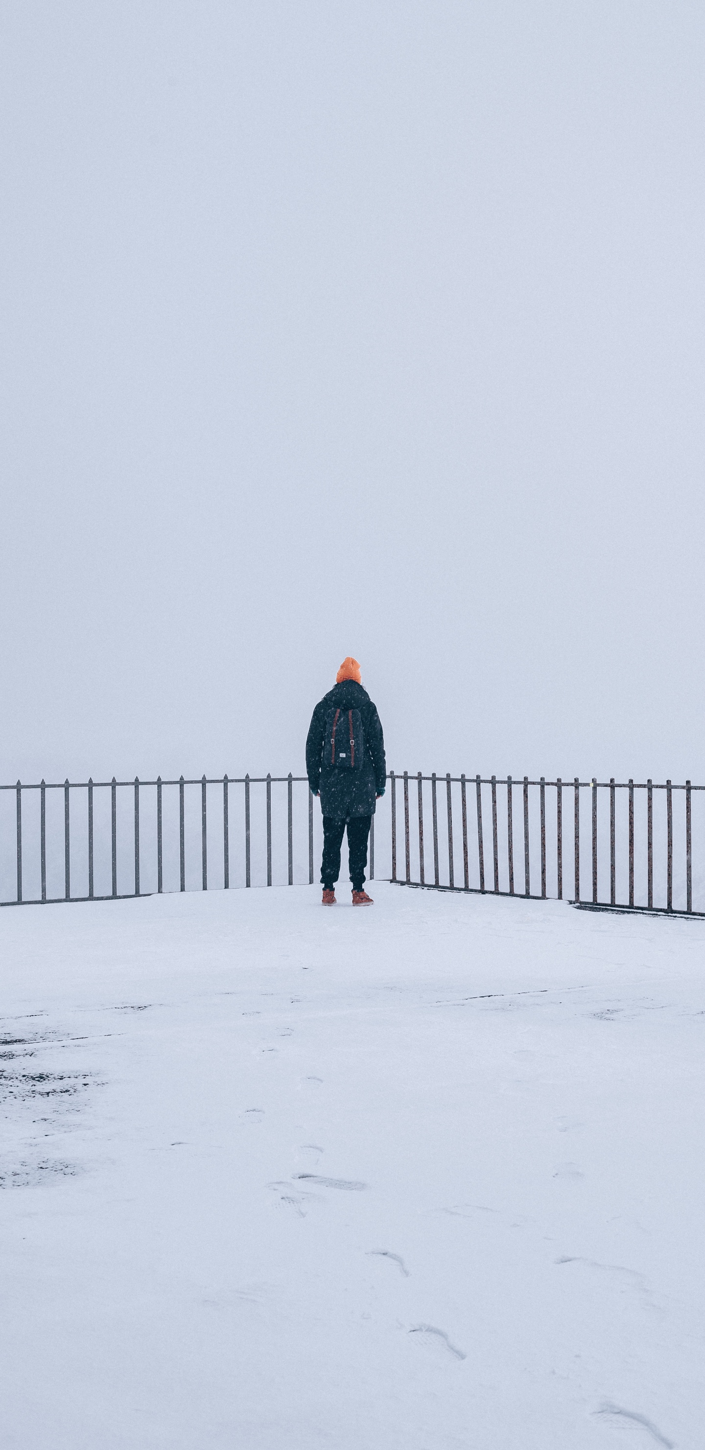 Neige, Hiver, Congélation, Permanent, Brouillard. Wallpaper in 1440x2960 Resolution