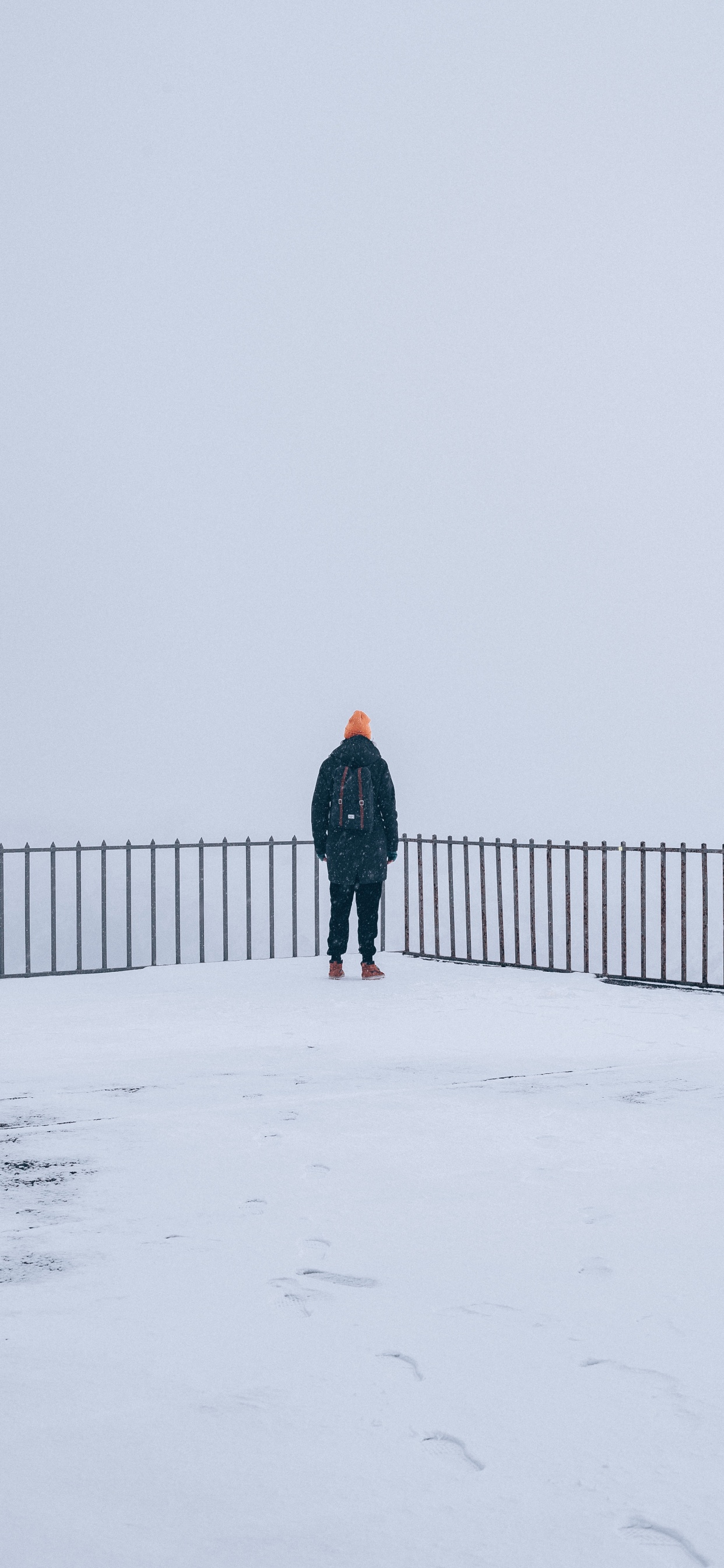 Snow, Winter, Freezing, Standing, Fog. Wallpaper in 1242x2688 Resolution