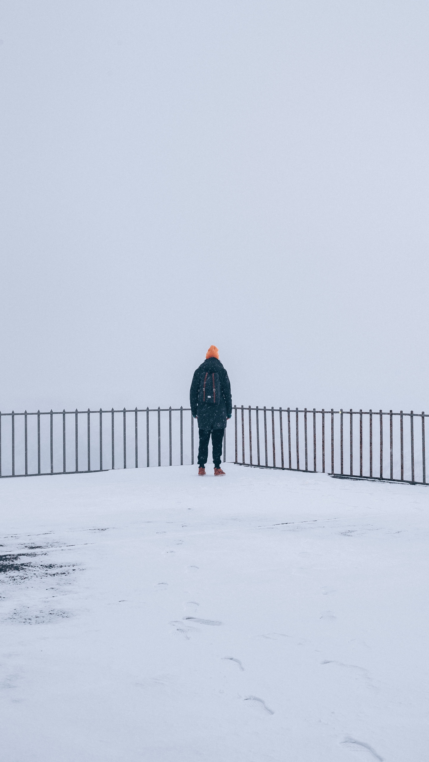 Snow, Winter, Freezing, Standing, Fog. Wallpaper in 1440x2560 Resolution