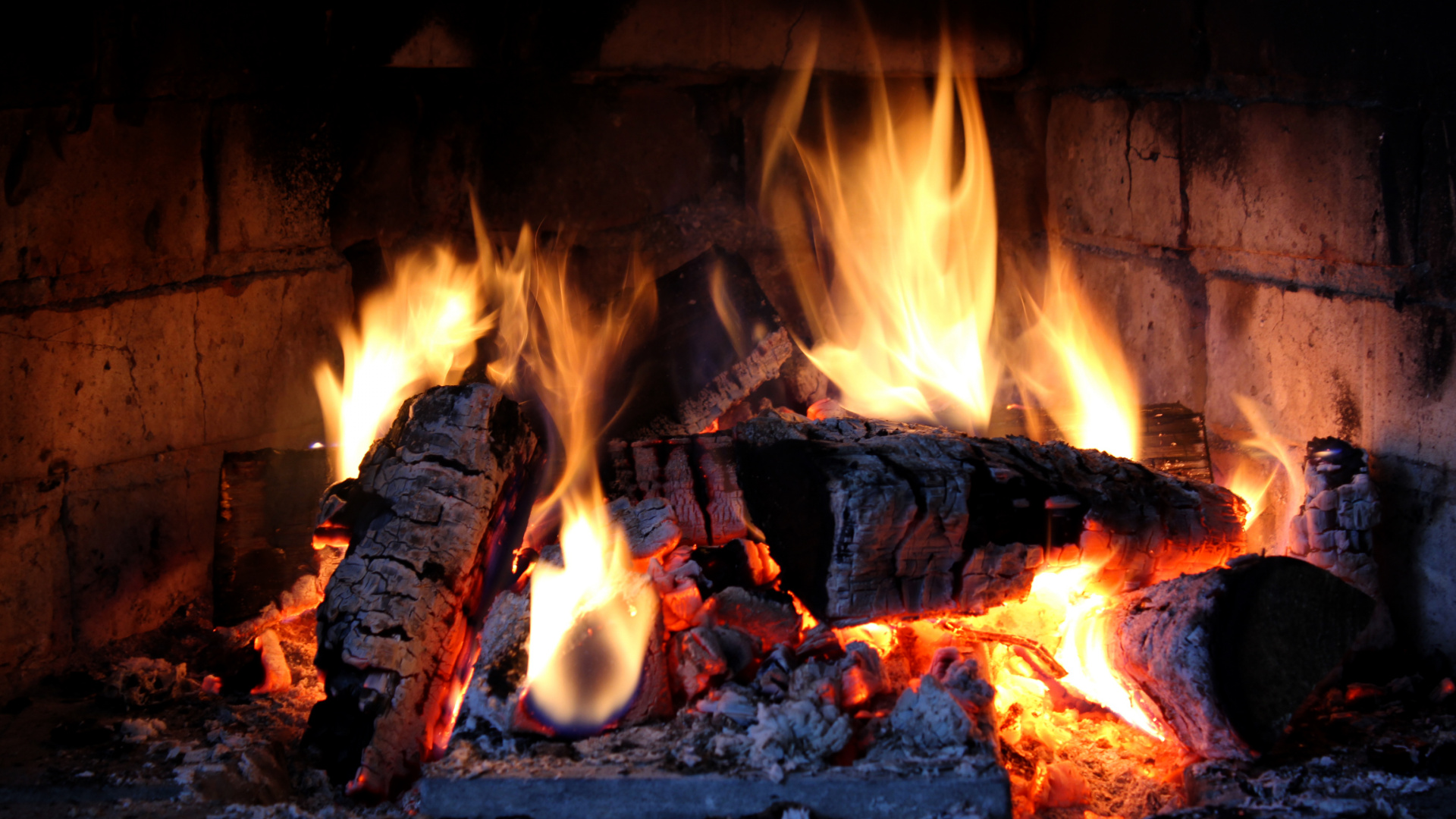 Brûler du Bois Sur un Feu de Camp. Wallpaper in 1920x1080 Resolution