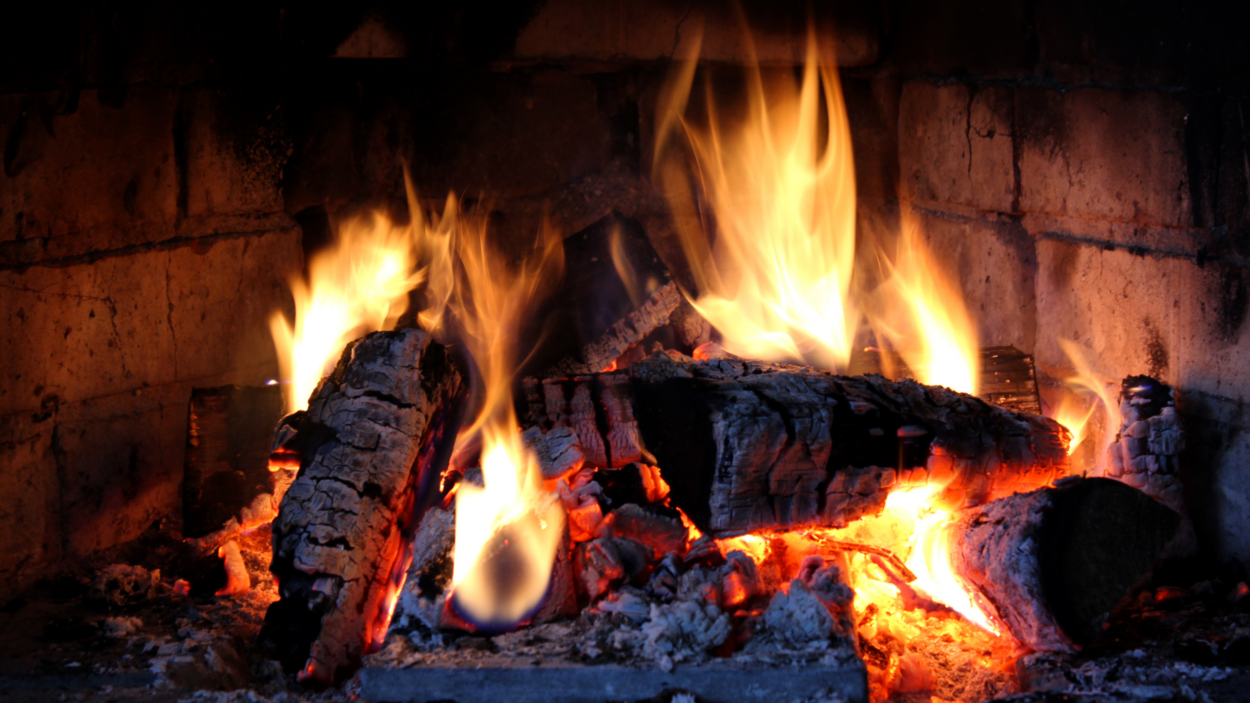 Burning Wood on Fire Pit. Wallpaper in 2560x1440 Resolution