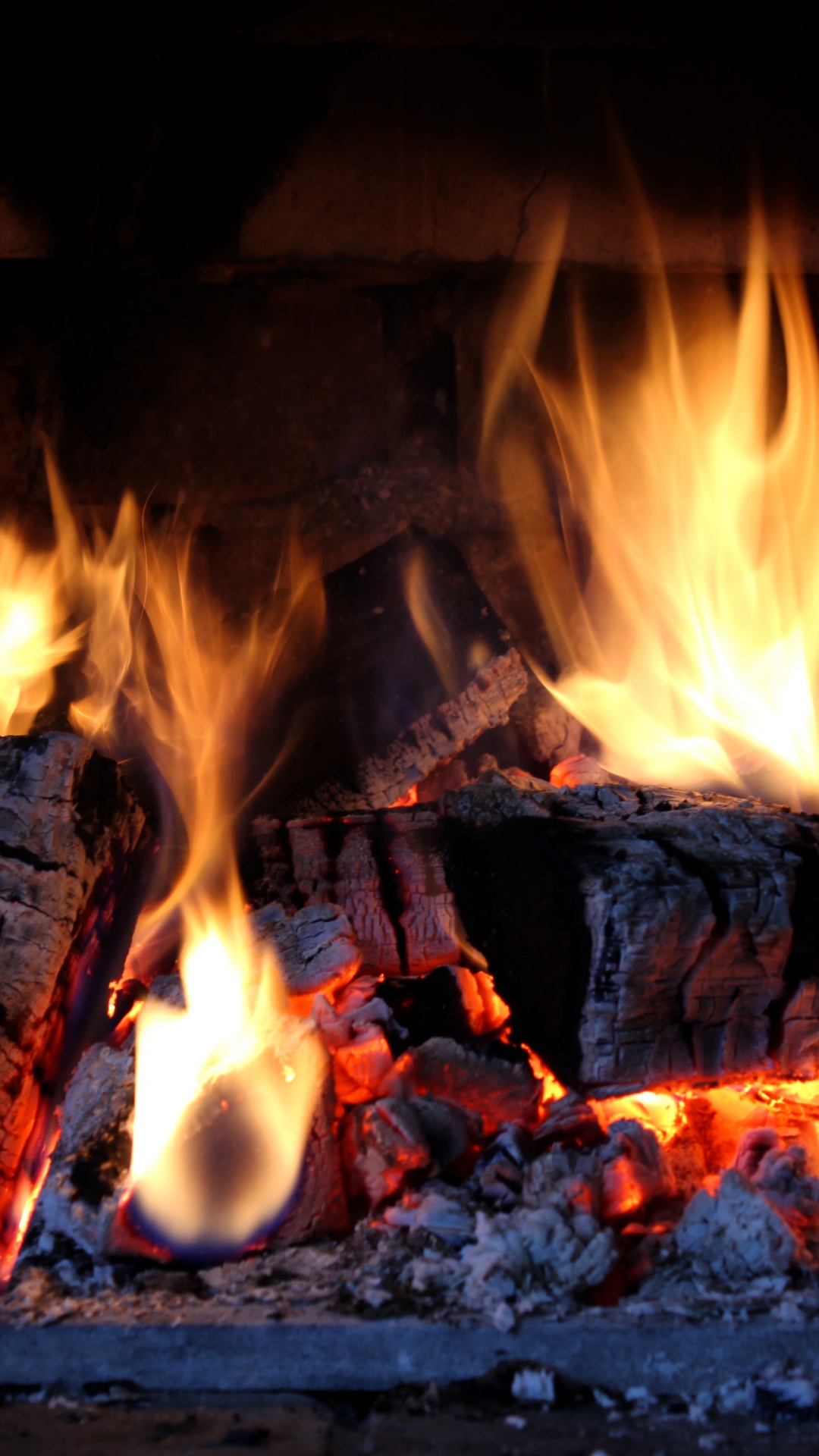 Brennendes Holz Auf Der Feuerstelle. Wallpaper in 1080x1920 Resolution