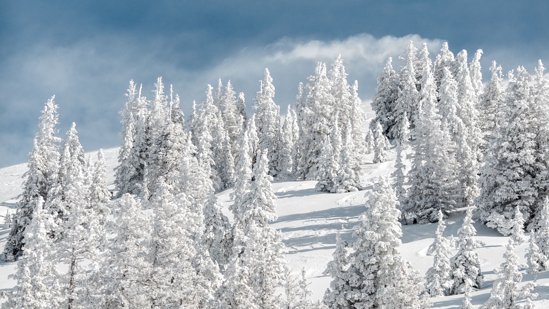 Neige, Hiver, Gel, Congélation, Paysage Naturel. Wallpaper in 1920x1080 Resolution
