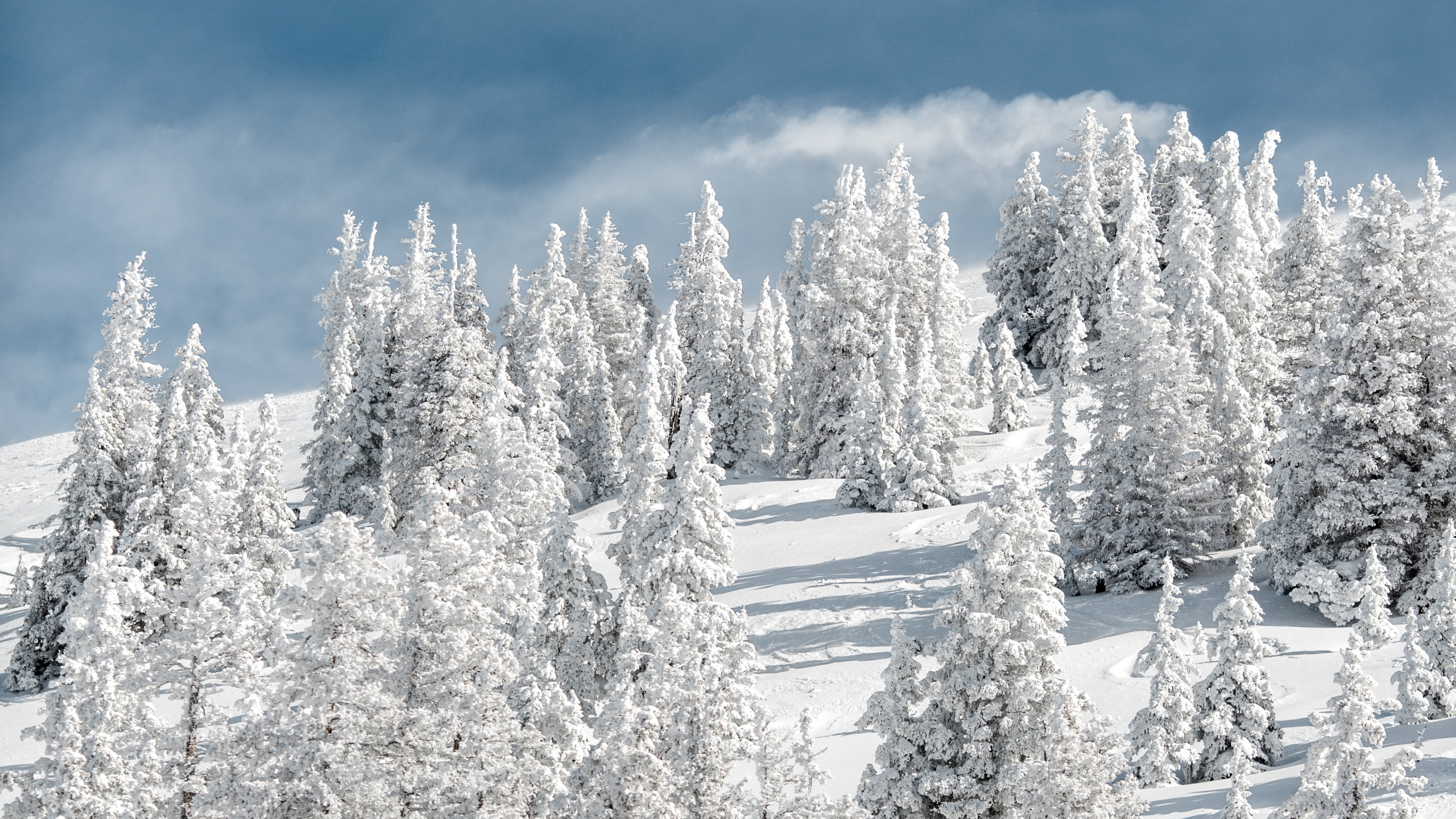 Neige, Hiver, Gel, Congélation, Paysage Naturel. Wallpaper in 3840x2160 Resolution