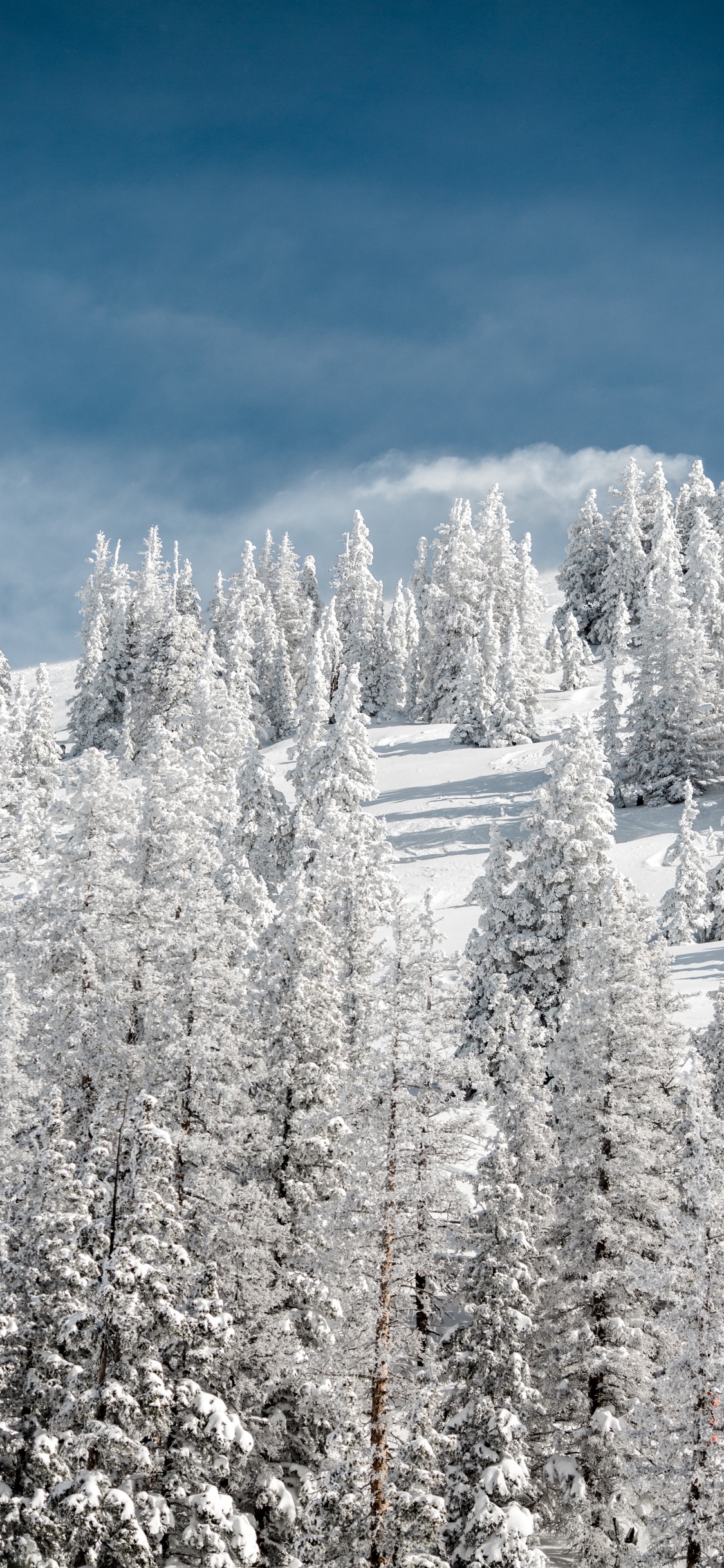 Nieve, Invierno, Helada, Congelación, Paisaje Natural. Wallpaper in 1125x2436 Resolution