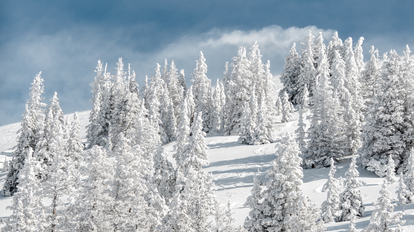 Nieve, Invierno, Helada, Congelación, Paisaje Natural. Wallpaper in 1366x768 Resolution