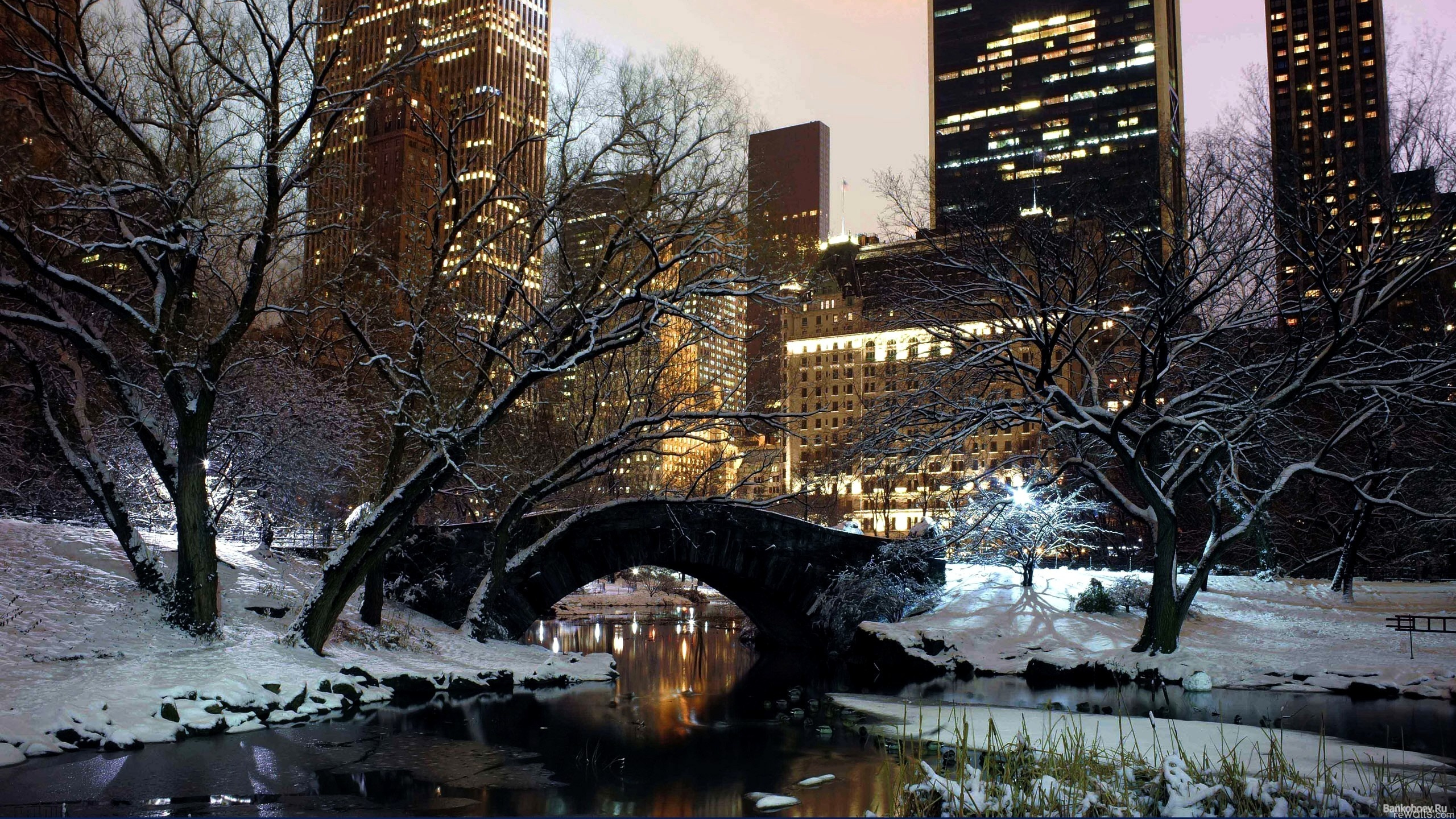 Braunes Betongebäude in Der Nähe Des Flusses Tagsüber. Wallpaper in 2560x1440 Resolution