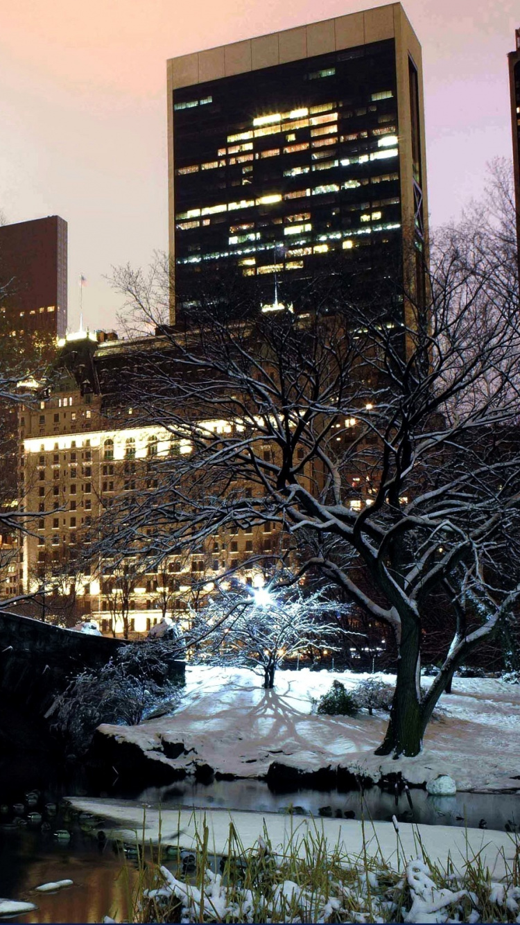 中央公园, 冬天, 城市, 反射, 冻结 壁纸 750x1334 允许