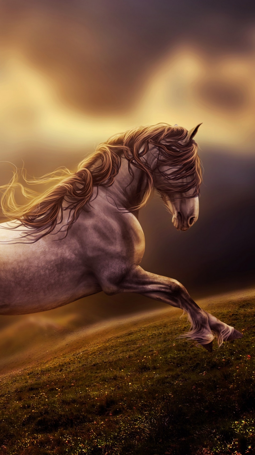 Caballo Blanco Corriendo en el Campo de Hierba Verde. Wallpaper in 1080x1920 Resolution