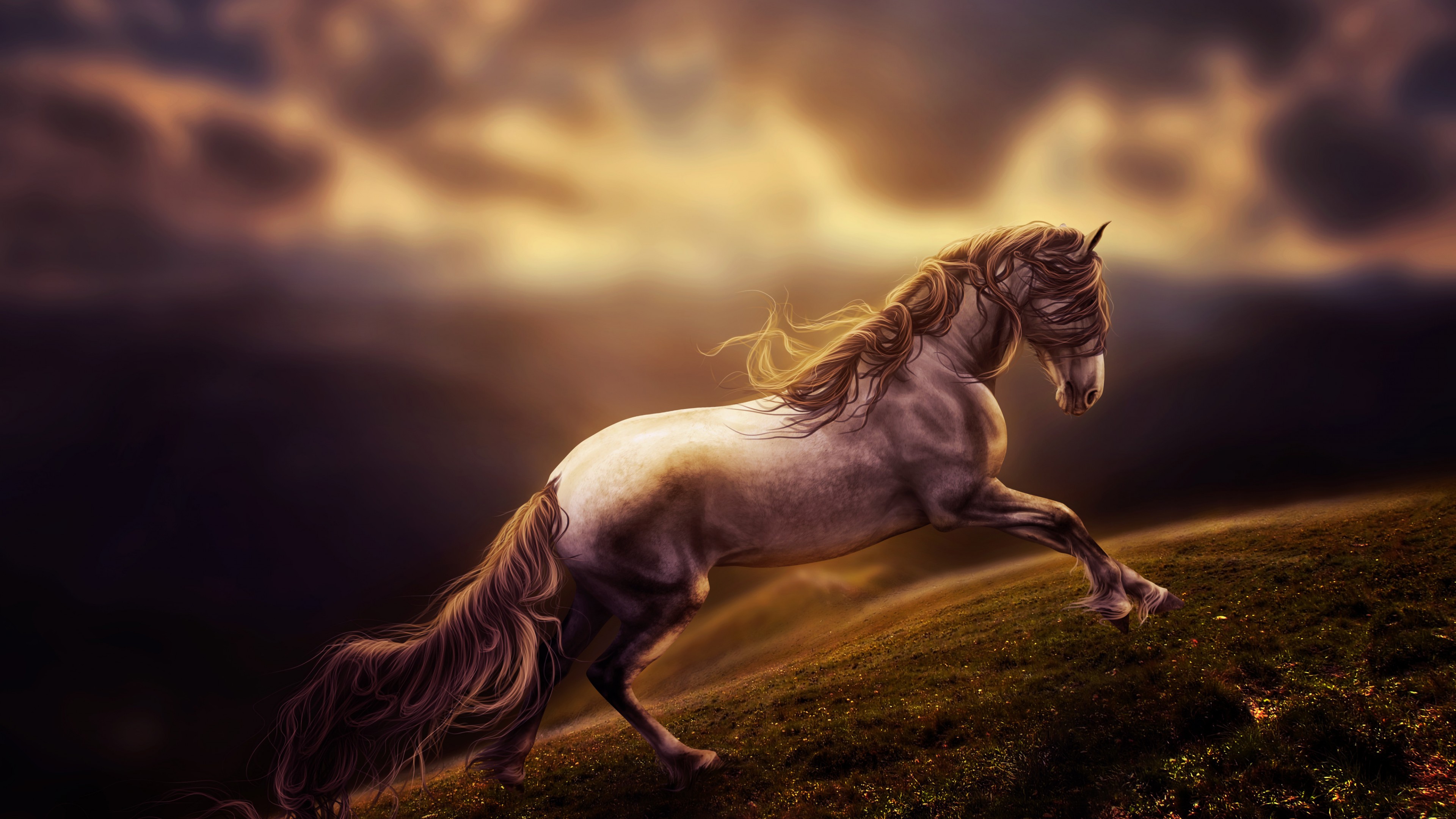 100+] White Horse Wallpapers | Wallpapers.com