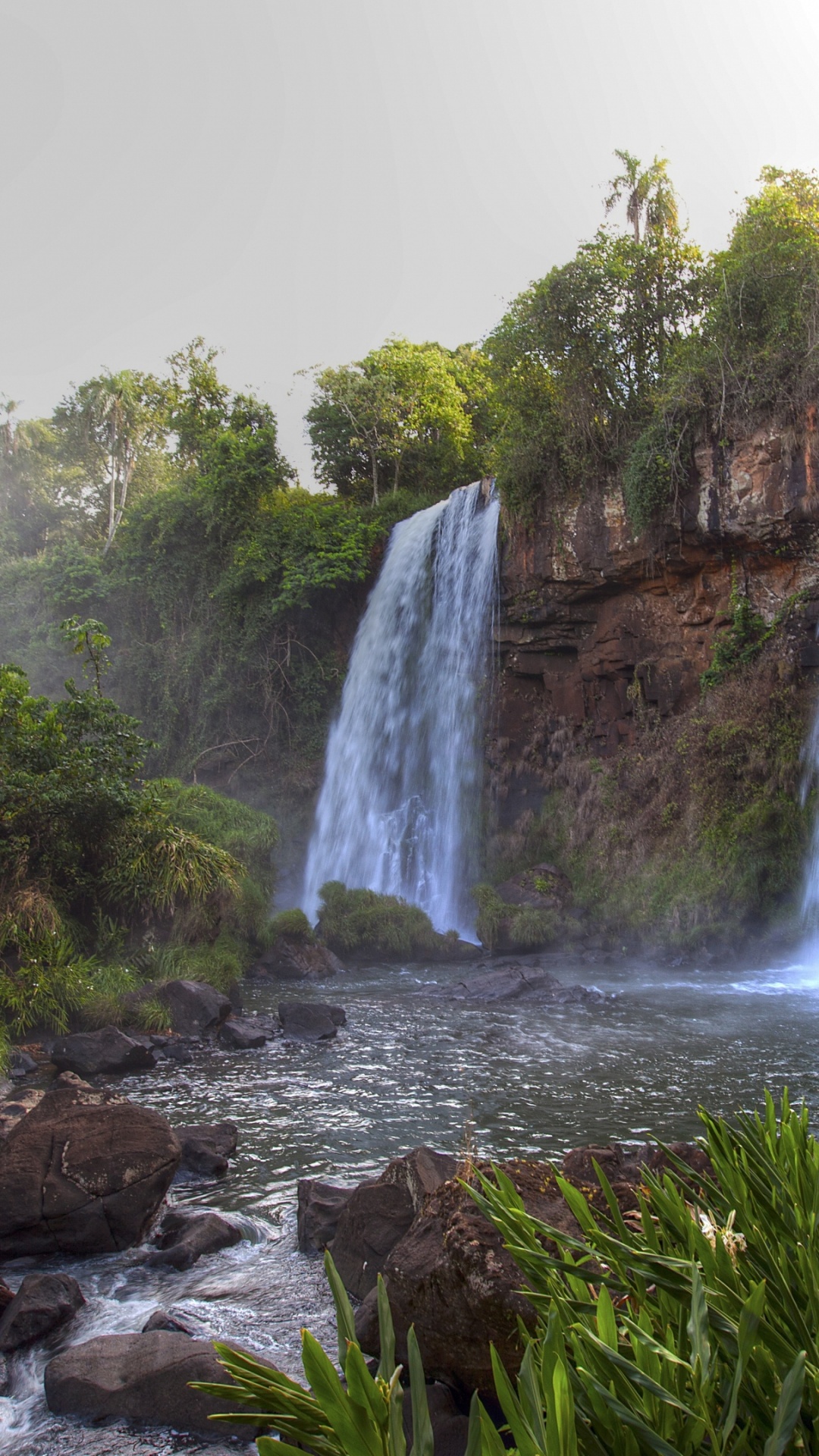 Cascadas en Medio Del Bosque Durante el Día. Wallpaper in 1080x1920 Resolution