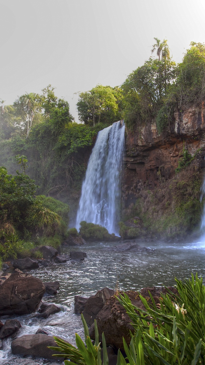 Cascadas en Medio Del Bosque Durante el Día. Wallpaper in 720x1280 Resolution