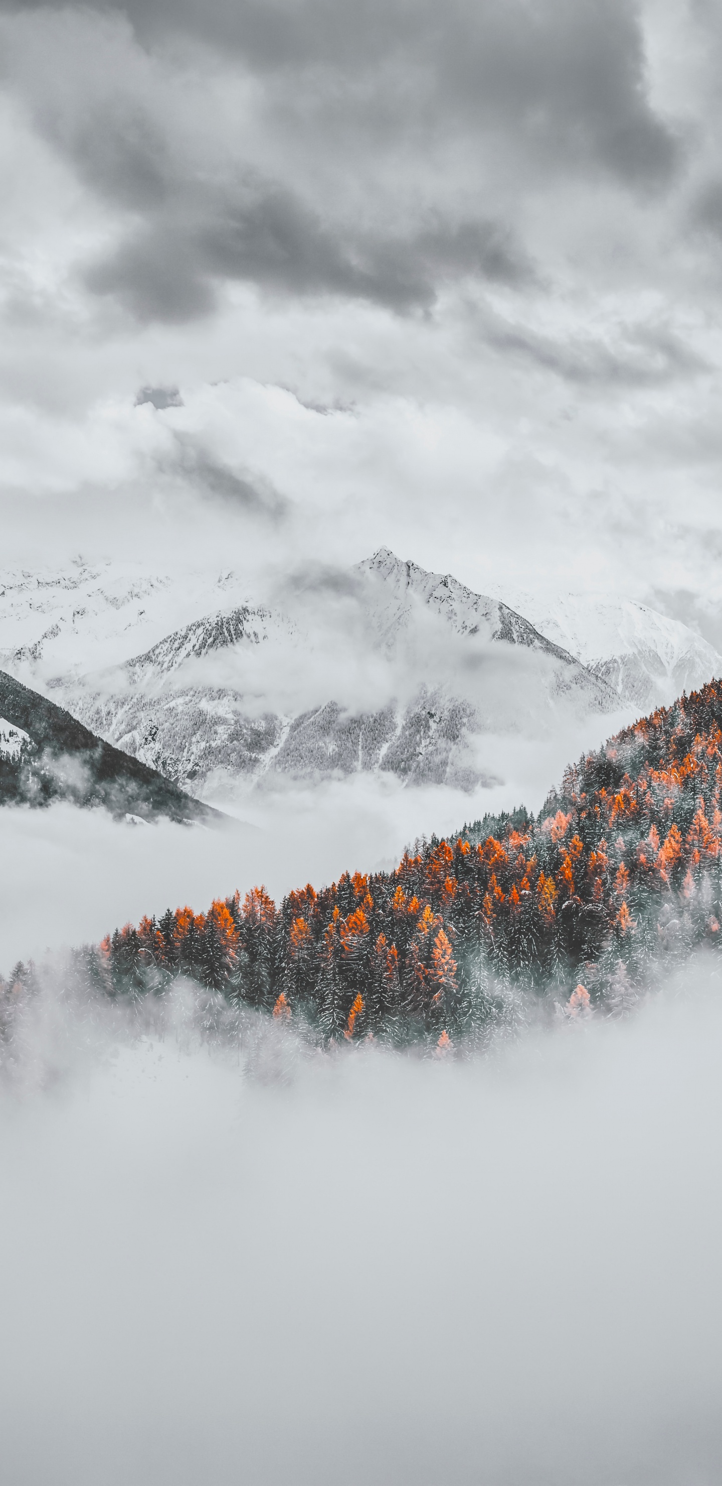 Cloud, Schnee, Winter, Bergigen Landschaftsformen, Natur. Wallpaper in 1440x2960 Resolution