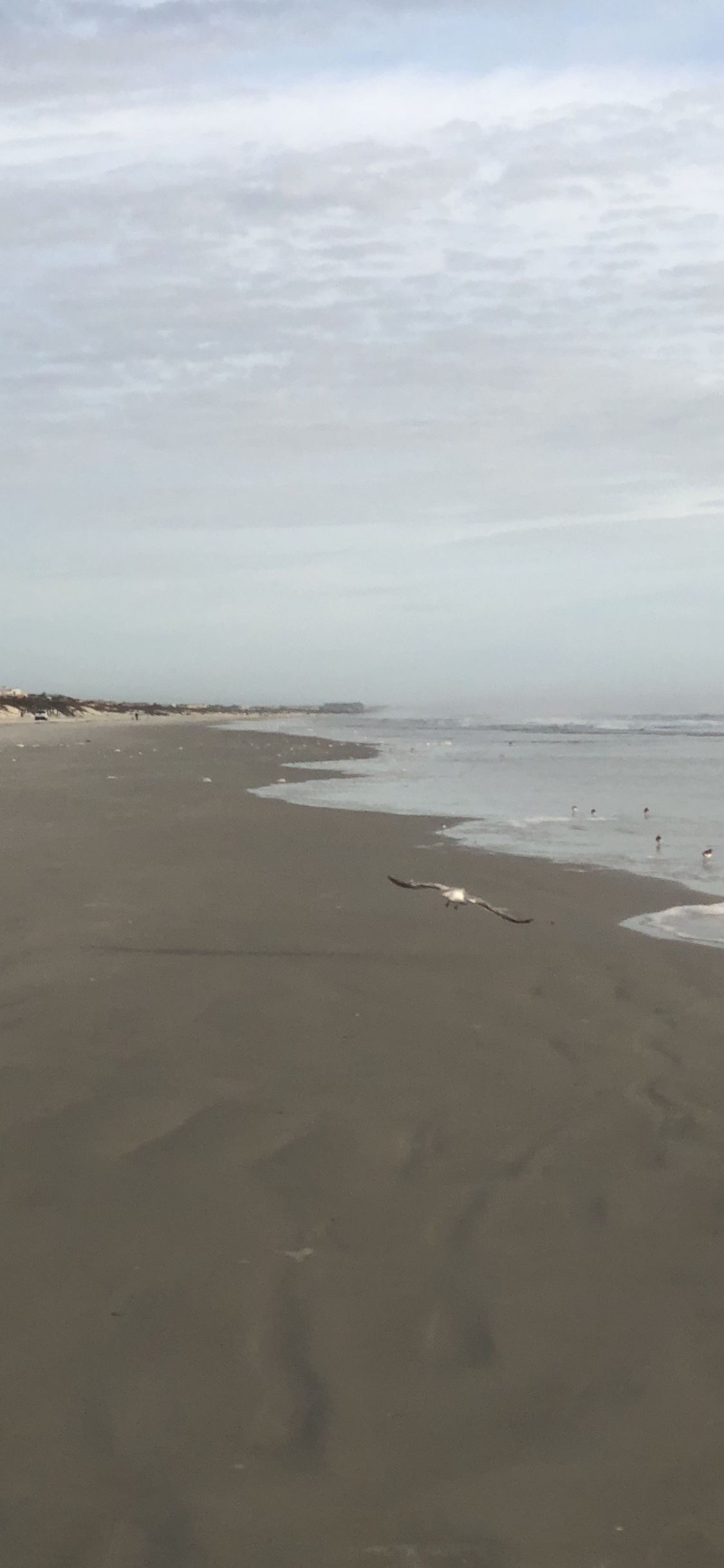 Meer, Wattenmeer, Wind Welle, Flut, Gewässer. Wallpaper in 1125x2436 Resolution