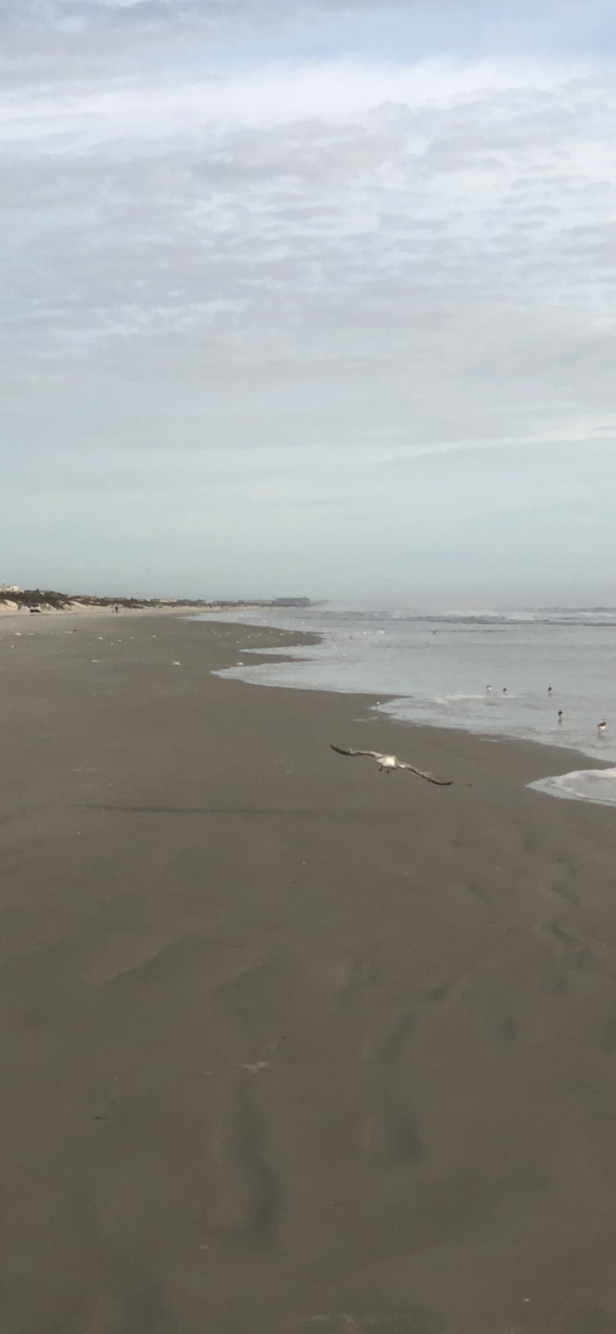 Meer, Wattenmeer, Wind Welle, Flut, Gewässer. Wallpaper in 1242x2688 Resolution