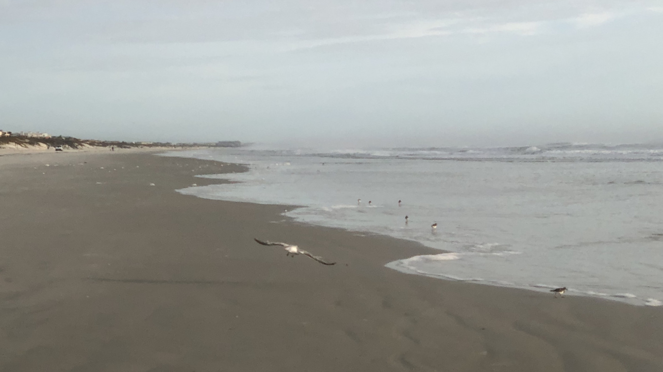 Meer, Wattenmeer, Wind Welle, Flut, Gewässer. Wallpaper in 1366x768 Resolution