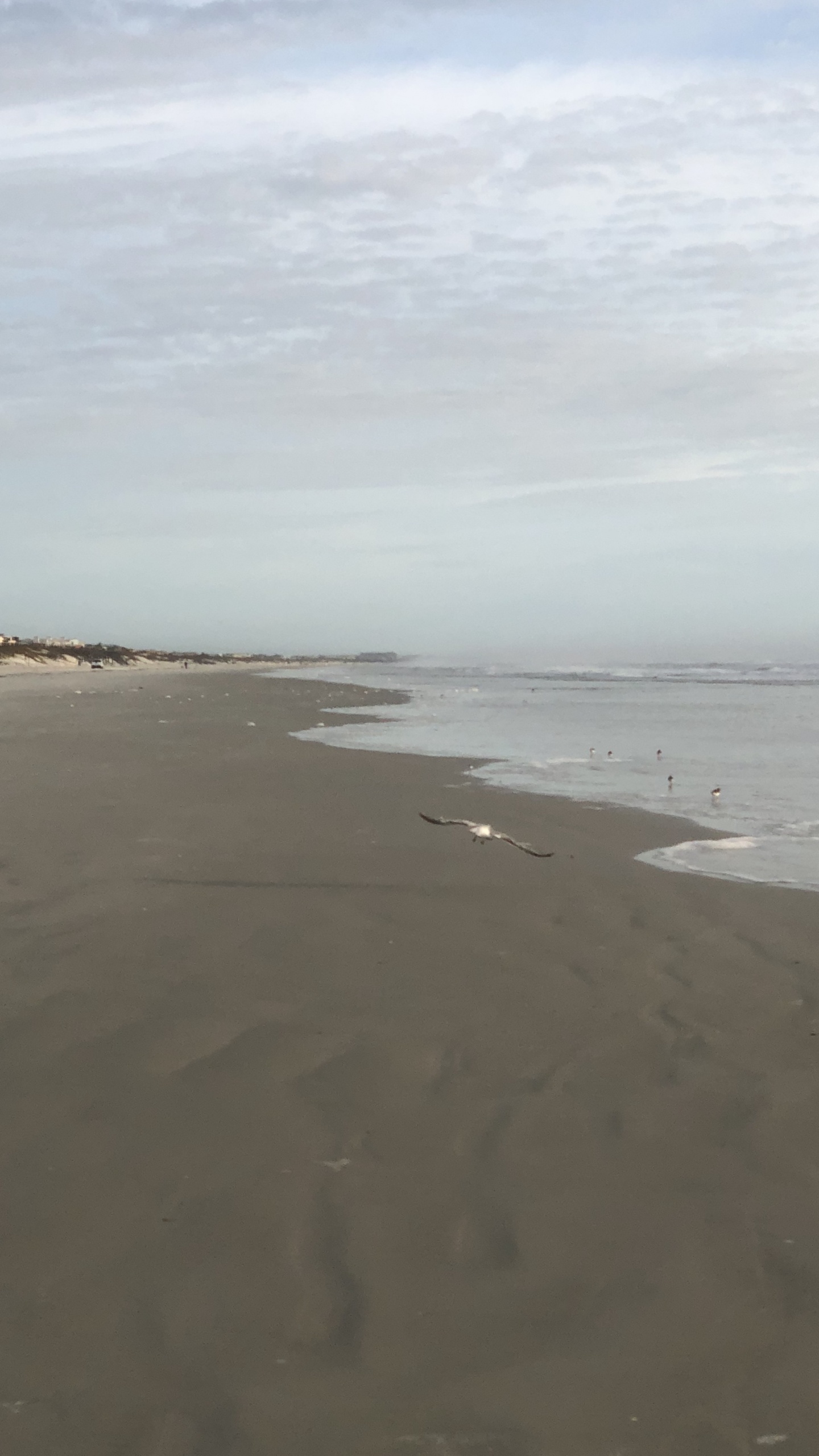 Sea, Mudflat, Wind Wave, Tide, Body of Water. Wallpaper in 1440x2560 Resolution