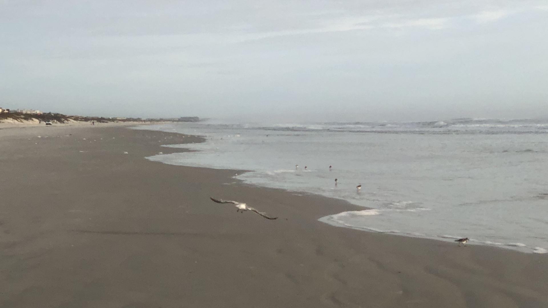 Sea, Mudflat, Wind Wave, Tide, Body of Water. Wallpaper in 1920x1080 Resolution