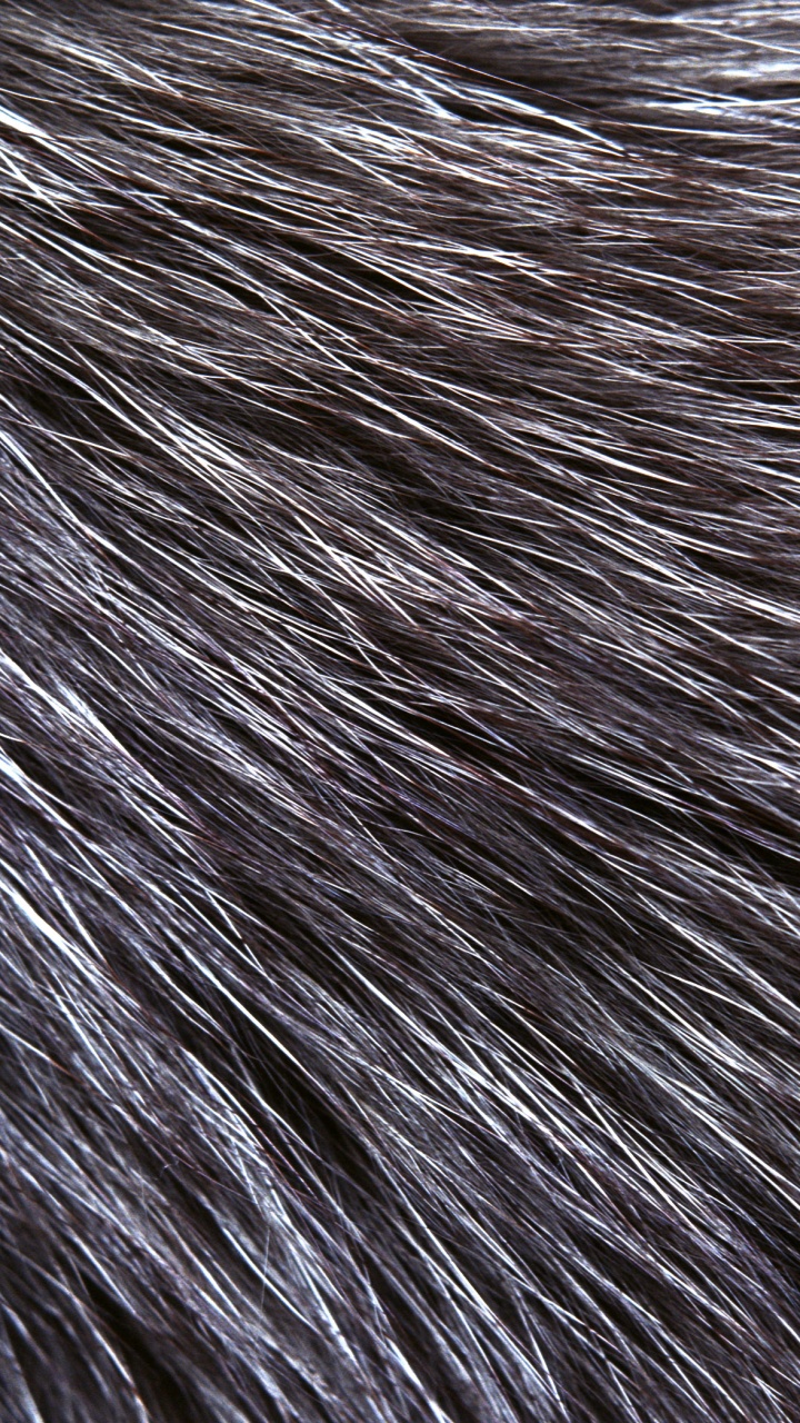 White and Black Fur Textile. Wallpaper in 720x1280 Resolution