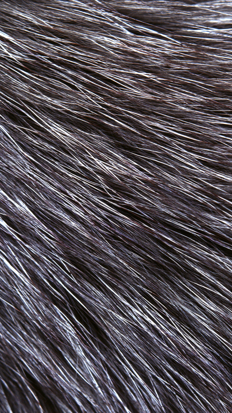 White and Black Fur Textile. Wallpaper in 750x1334 Resolution