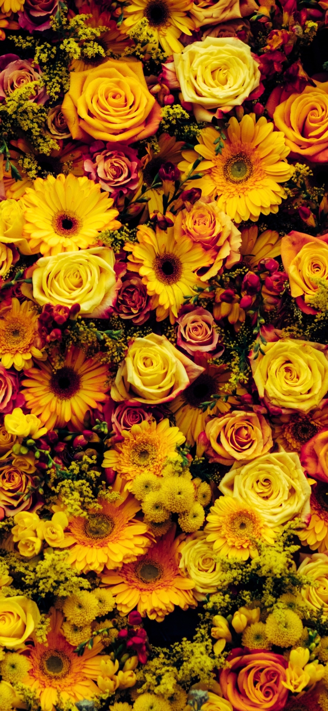 花卉设计, 黄色的, 花艺, 弹簧, 向日葵 壁纸 1125x2436 允许
