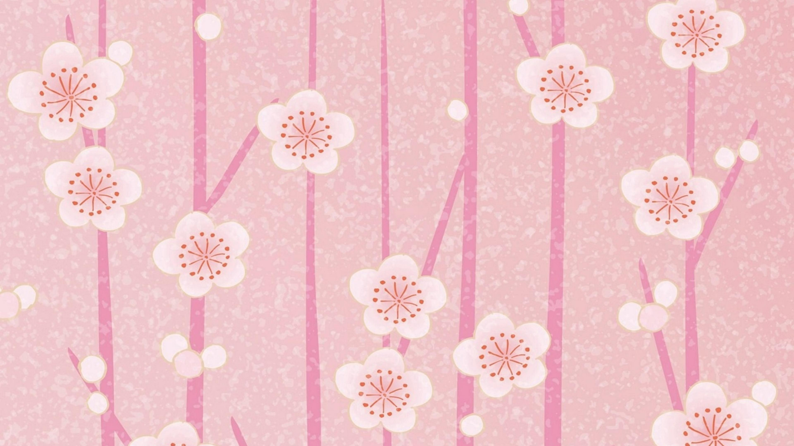Textile Floral Rose et Blanc. Wallpaper in 2560x1440 Resolution