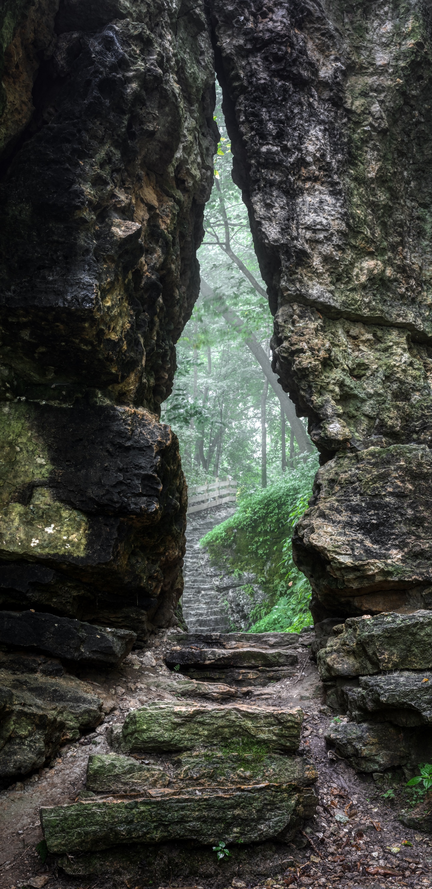Formation, Eau, Rock, Nature, Géologie. Wallpaper in 1440x2960 Resolution