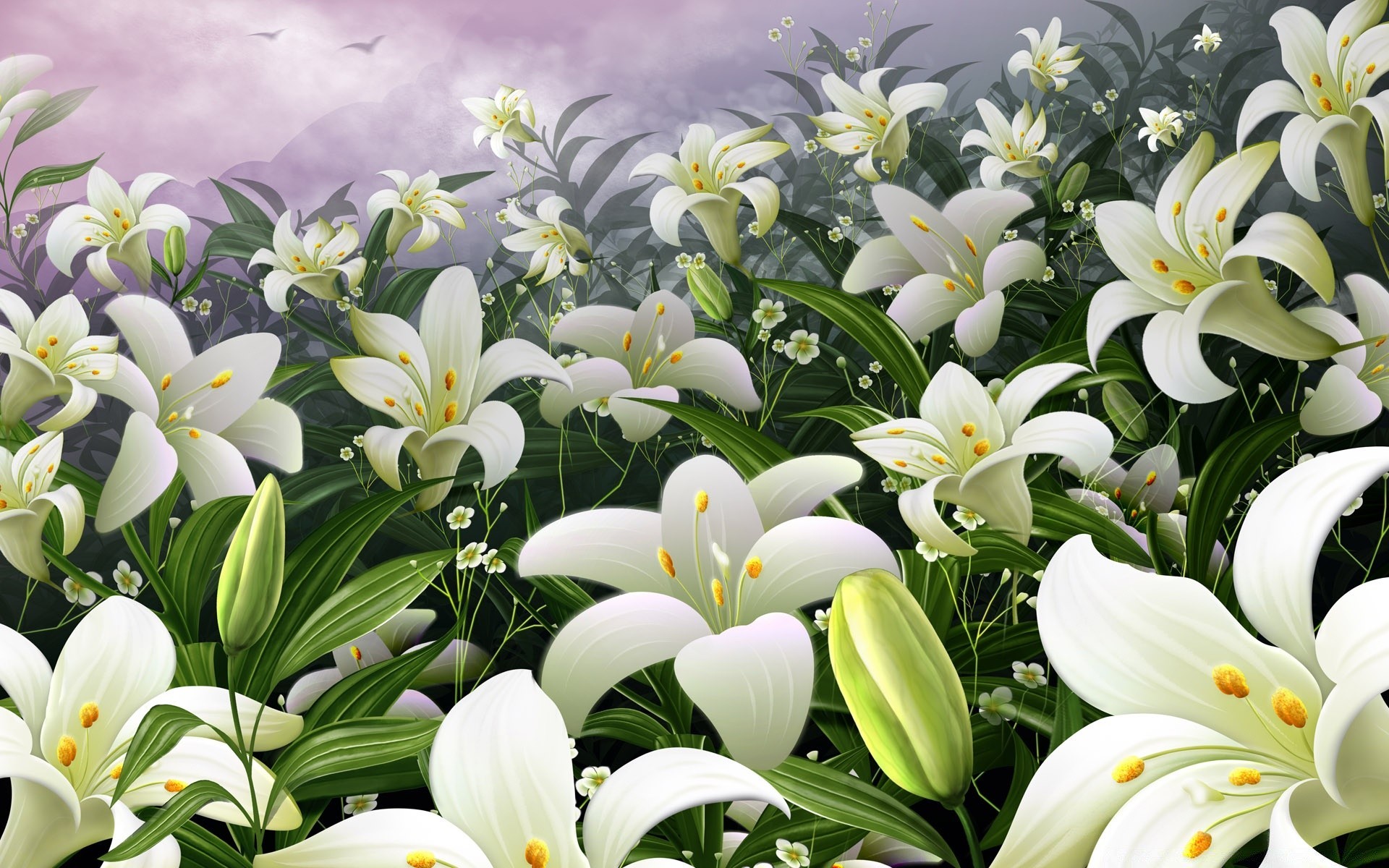 Nature Lily Wallpaper