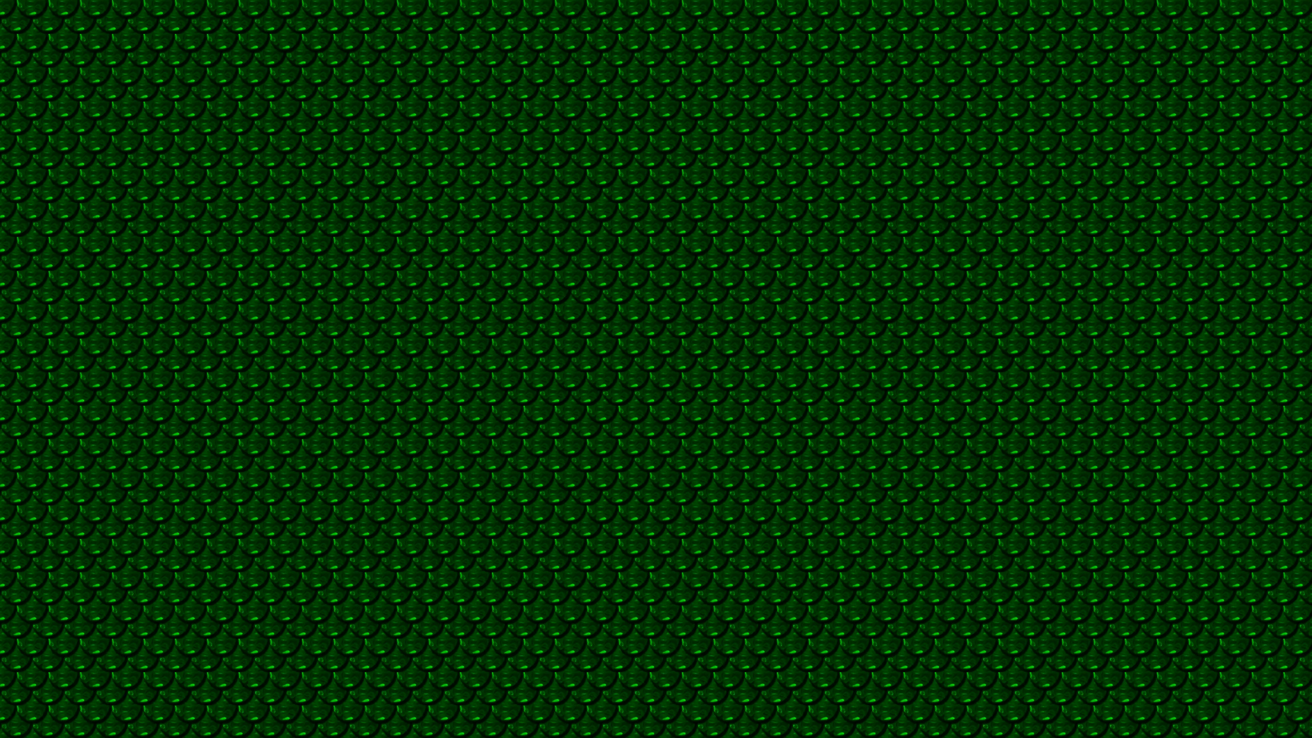 Textil Rectangular Verde y Negro. Wallpaper in 2560x1440 Resolution