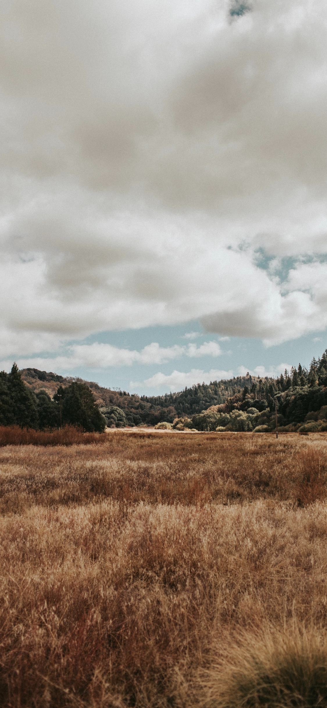 Natural Landscape, Nature, Cloud, Natural Environment, Grassland. Wallpaper in 1125x2436 Resolution