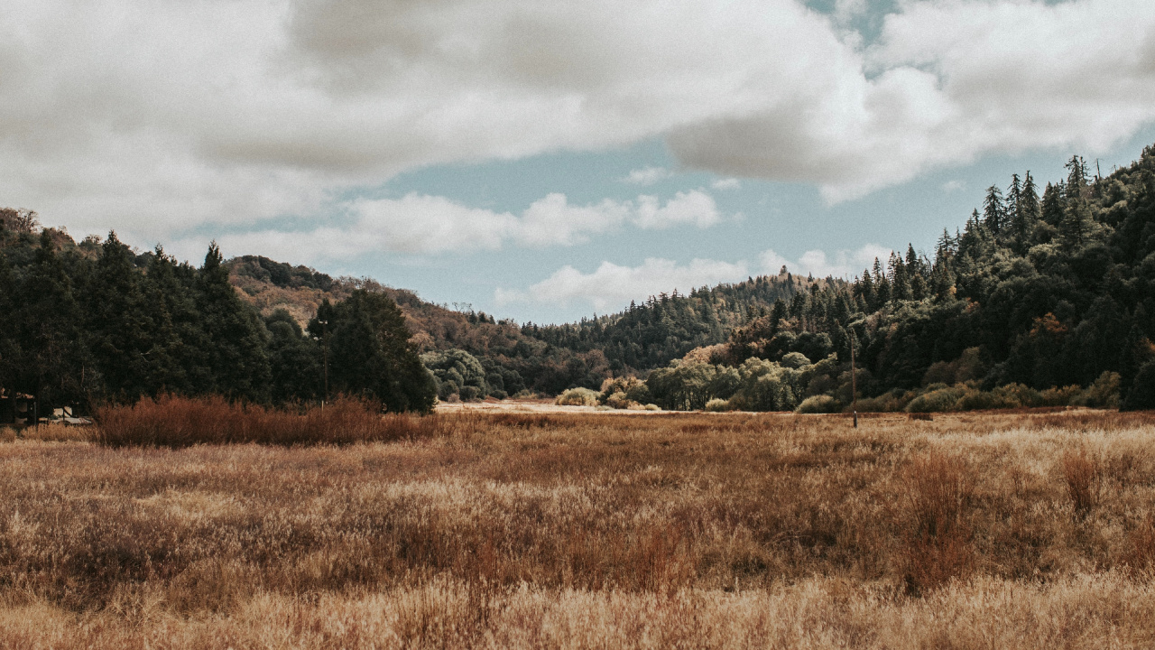 Natural Landscape, Nature, Cloud, Natural Environment, Grassland. Wallpaper in 1280x720 Resolution