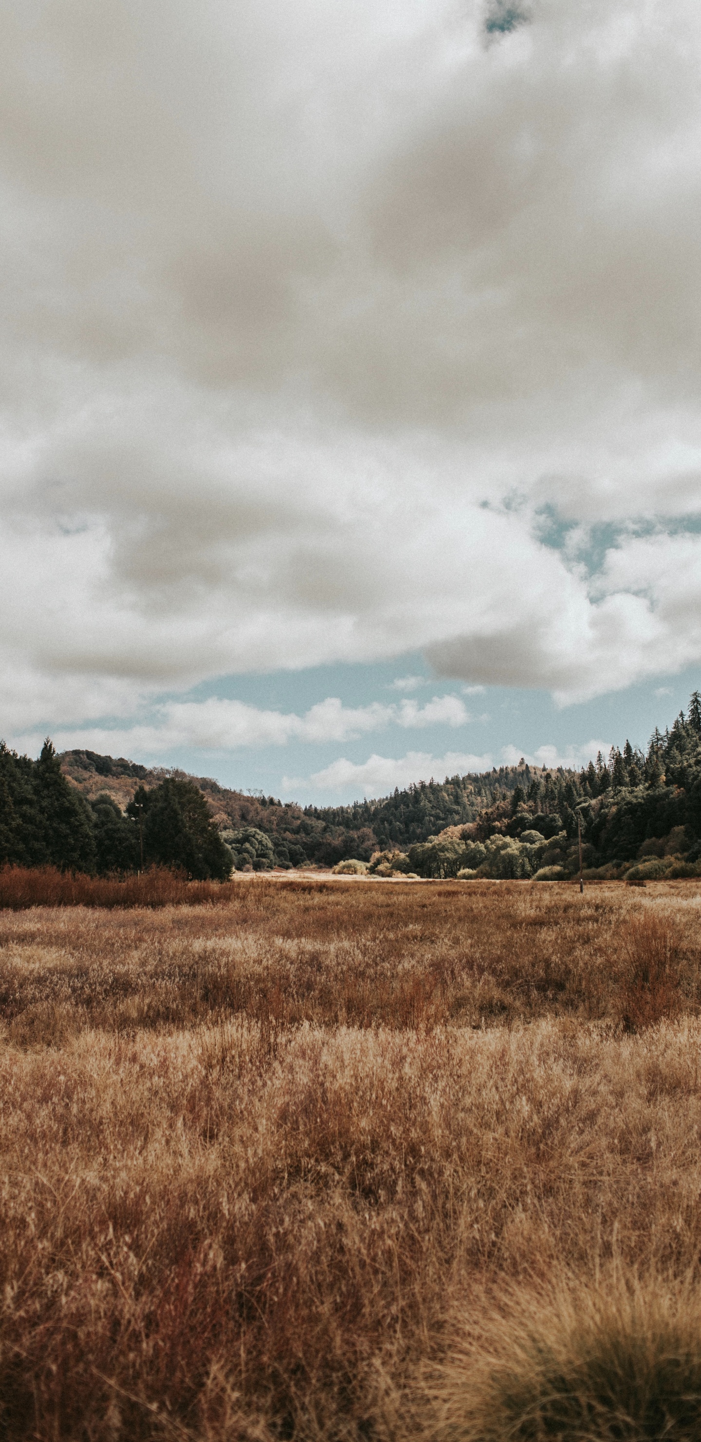 Natural Landscape, Nature, Cloud, Natural Environment, Grassland. Wallpaper in 1440x2960 Resolution
