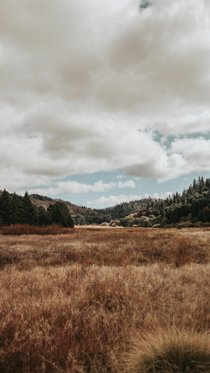 Natural Landscape, Nature, Cloud, Natural Environment, Grassland. Wallpaper in 720x1280 Resolution