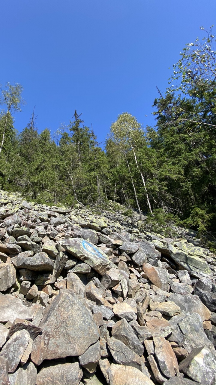 Wilderness, Water, Rock, Plant Community, Bedrock. Wallpaper in 720x1280 Resolution