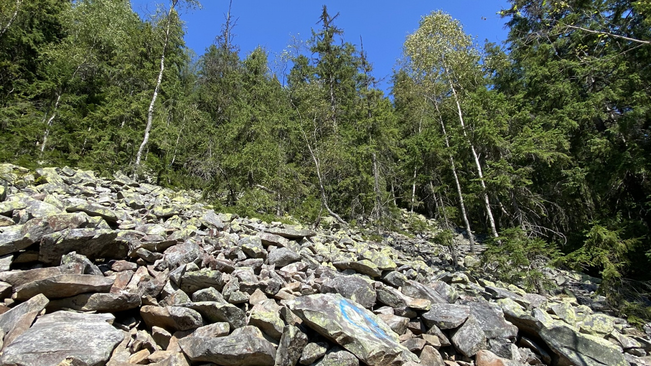 Wildnis, Wasser, Rock, Pflanzen-Gemeinschaft, BedRock. Wallpaper in 1280x720 Resolution