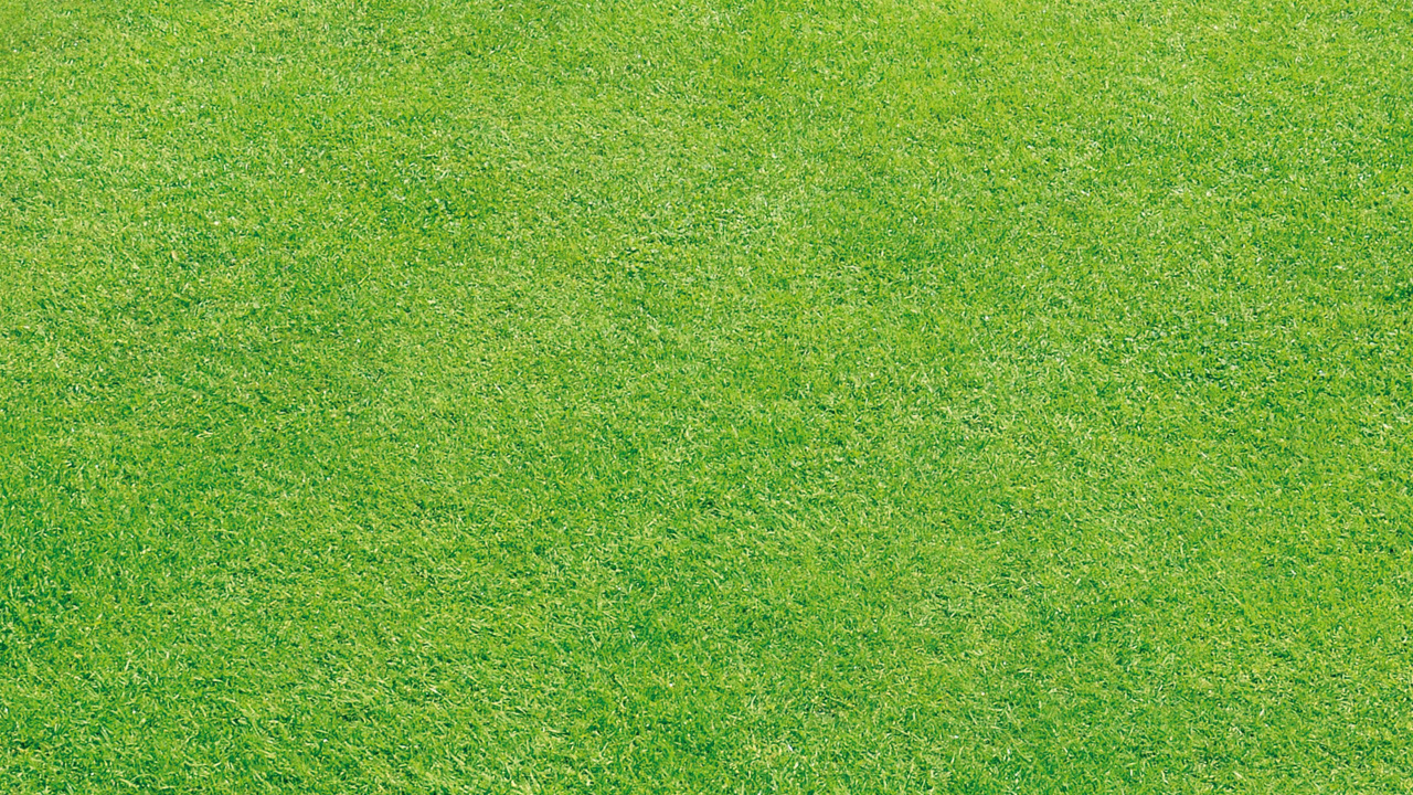 绿色的, 草, 草坪, 人造草坪, 草地上 壁纸 1280x720 允许