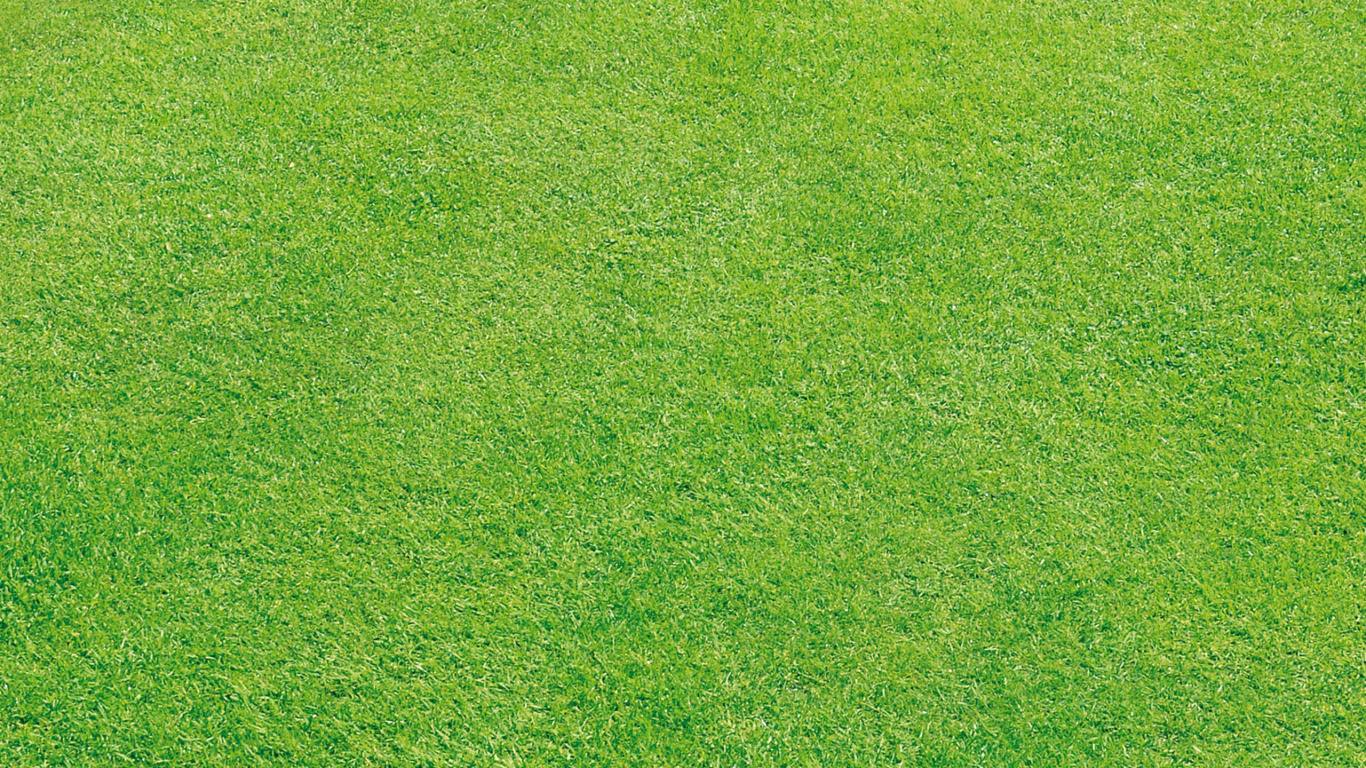 绿色的, 草, 草坪, 人造草坪, 草地上 壁纸 1366x768 允许