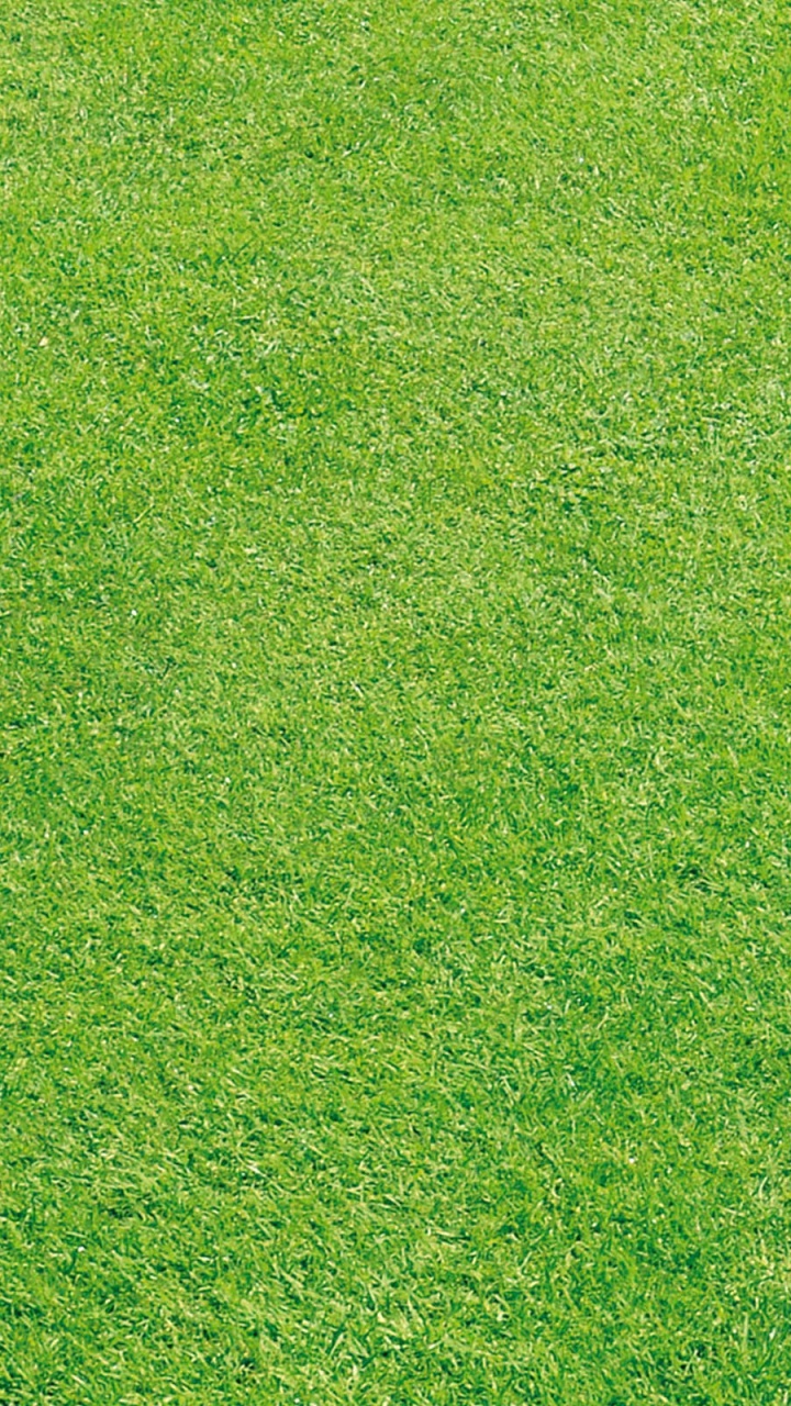 Champ D'herbe Verte Pendant la Journée. Wallpaper in 720x1280 Resolution