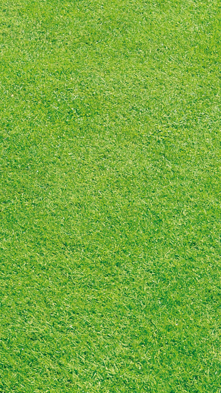 Champ D'herbe Verte Pendant la Journée. Wallpaper in 750x1334 Resolution