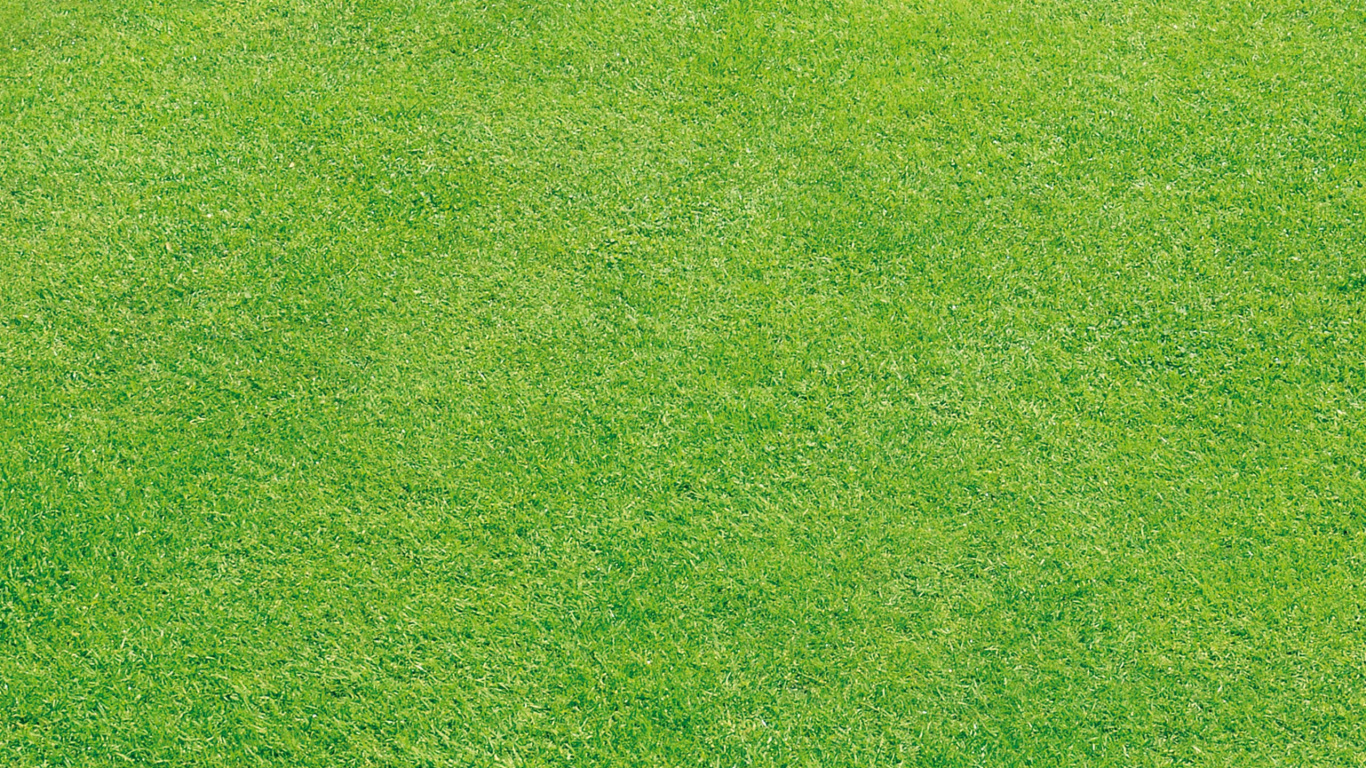 Green Grass Field During Daytime. Wallpaper in 1366x768 Resolution
