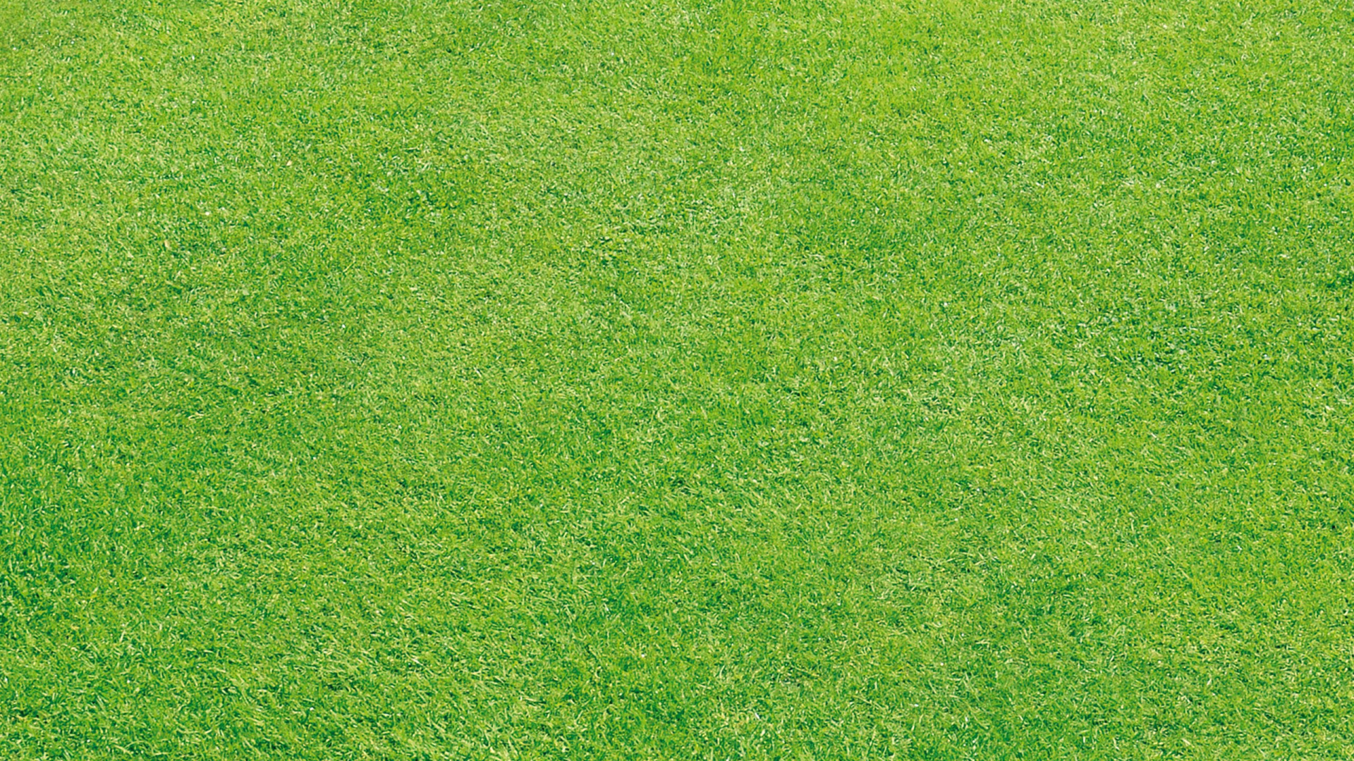 Green Grass Field During Daytime. Wallpaper in 1920x1080 Resolution