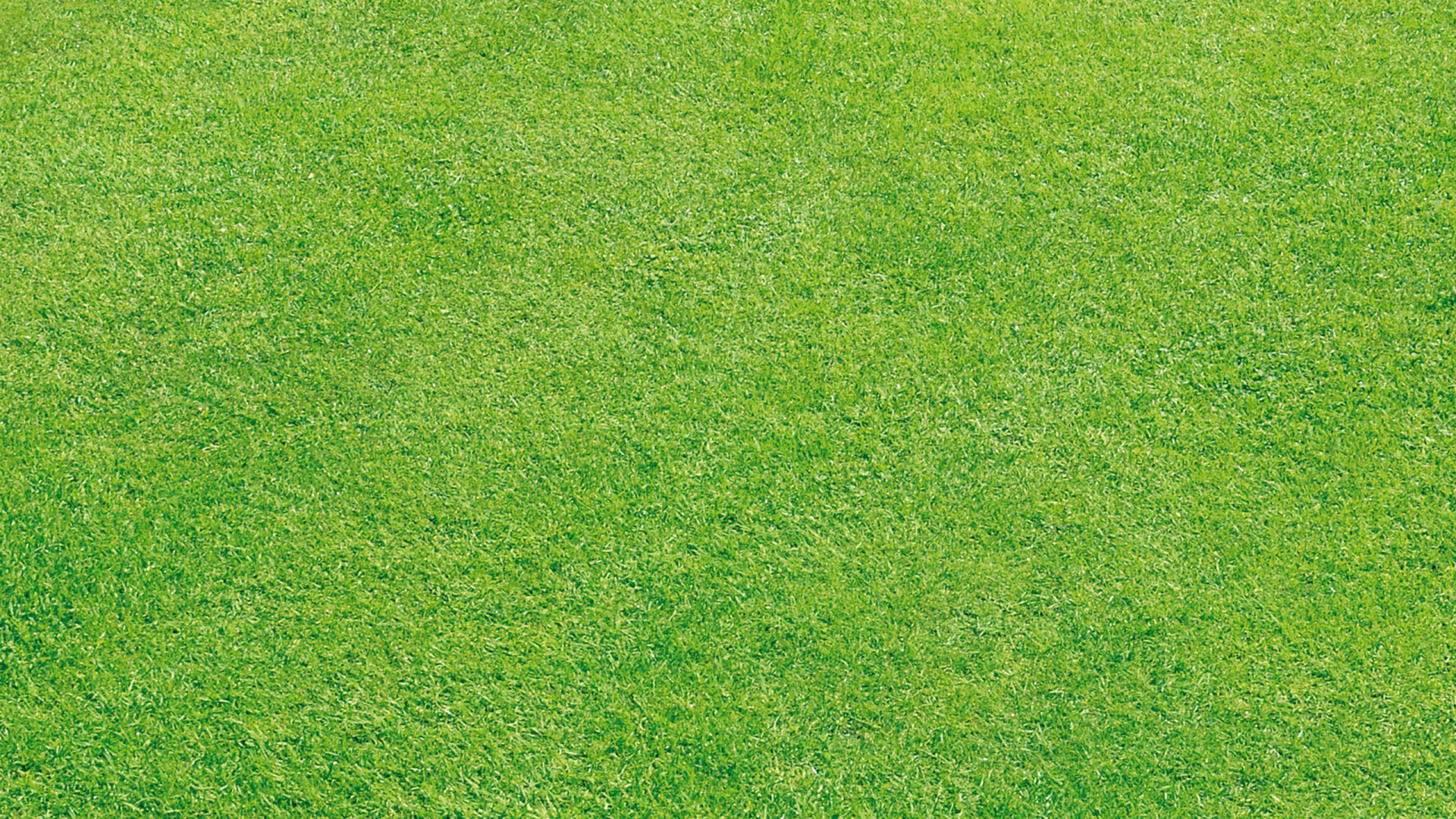 Green Grass Field During Daytime. Wallpaper in 1920x1080 Resolution