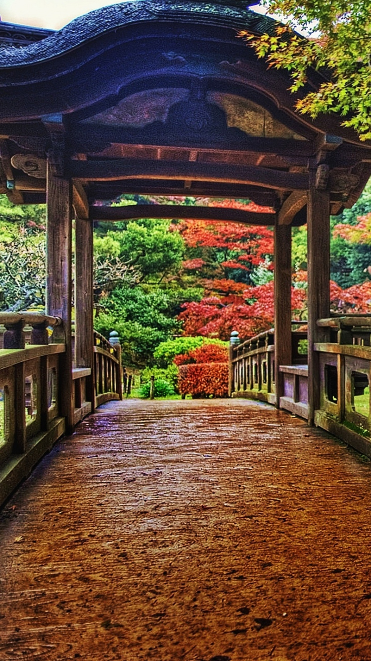 日本, 性质, 花园, 人行道, 植物园 壁纸 750x1334 允许