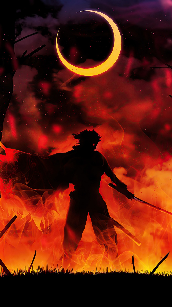 Rengoku-Silhouette, Tanjiro Kamado, Dämonentöter Kimetsu no Yaiba, Kyjur Rengoku, Anime. Wallpaper in 720x1280 Resolution