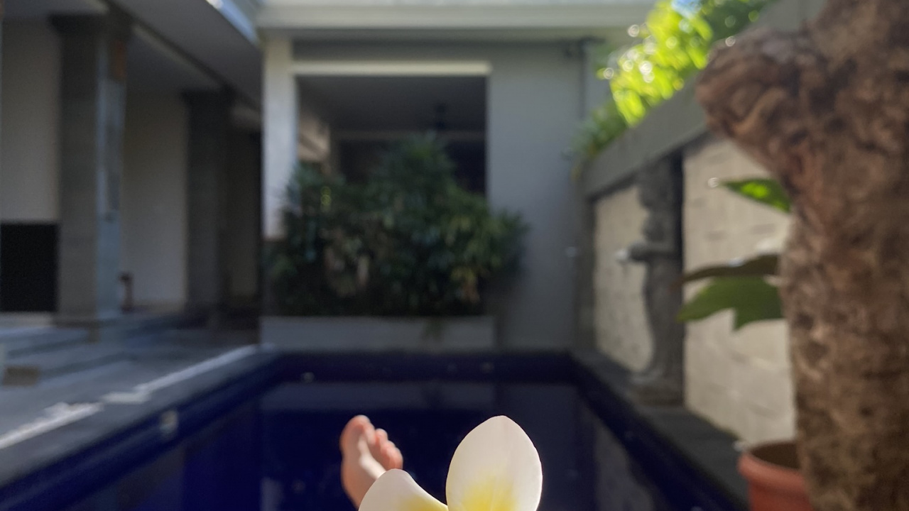 Flower, Petal, Property, Real Estate, House. Wallpaper in 1280x720 Resolution