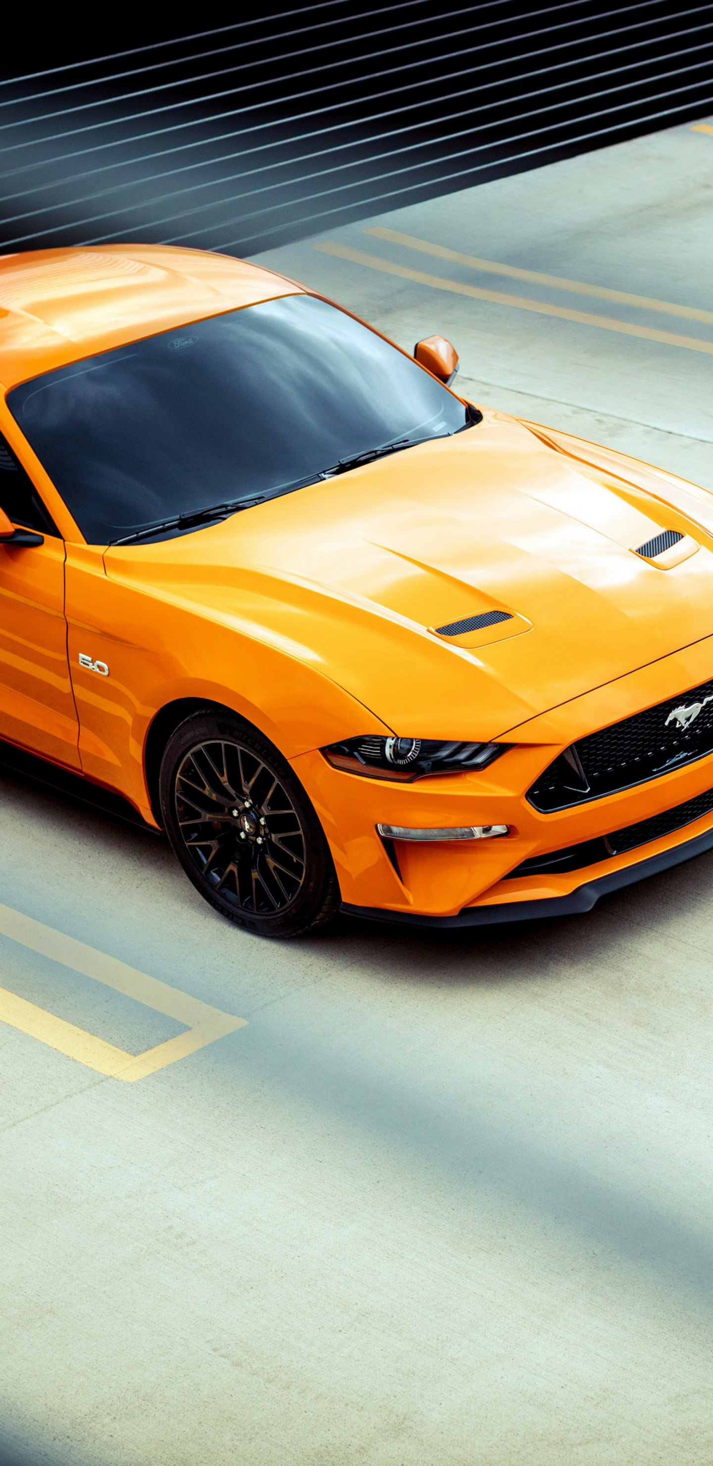 Ford Motor Company, Ford, Car, 2020 Ford Shelby GT500, Shelby Mustang. Wallpaper in 1440x2960 Resolution