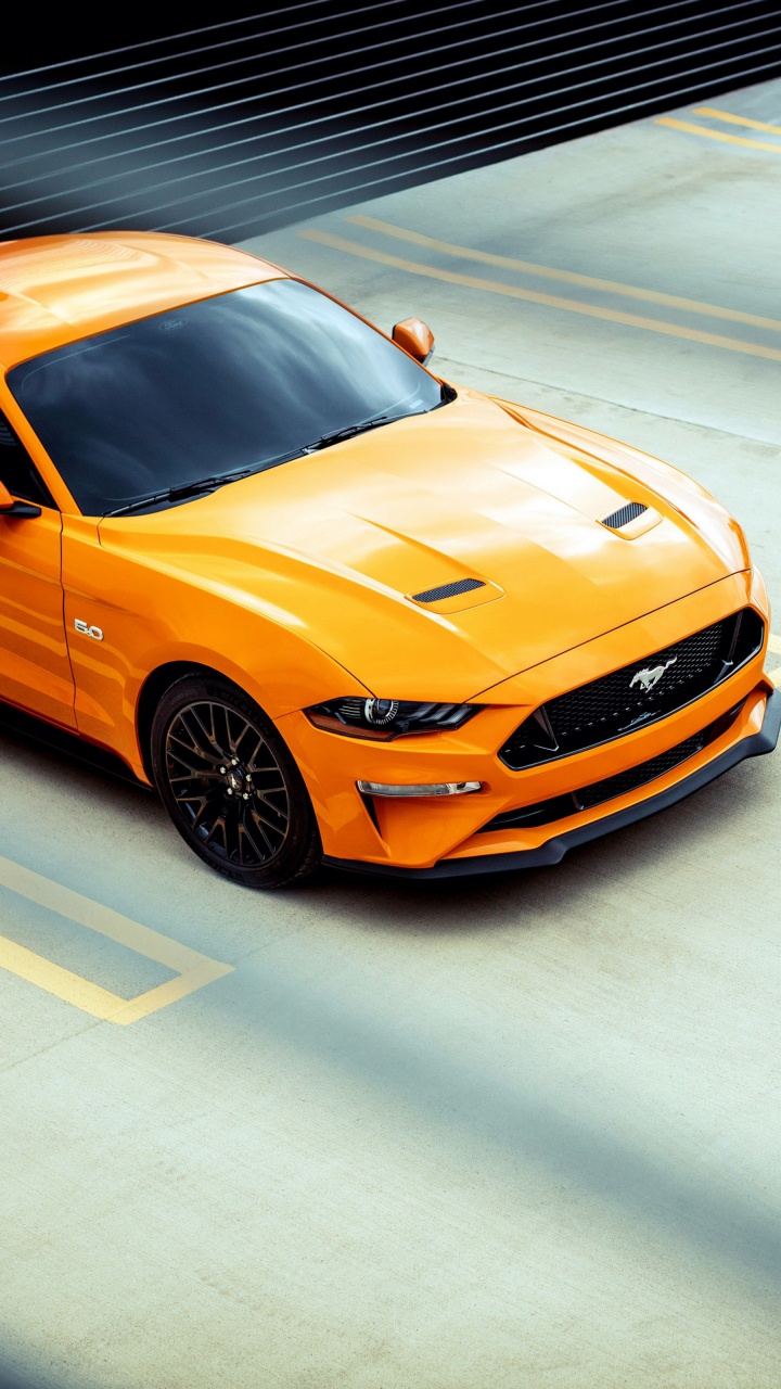 Ford Motor Company, Ford, Car, 2020 Ford Shelby GT500, Shelby Mustang. Wallpaper in 720x1280 Resolution