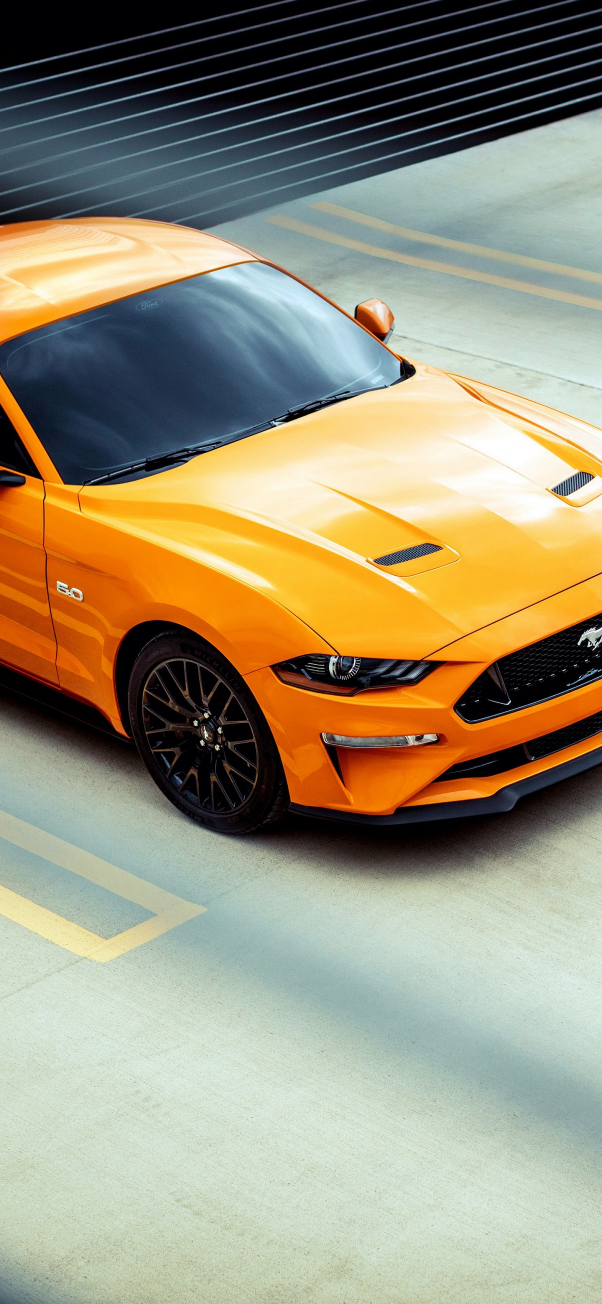 Ford Motor Company, Ford, Coche, Ford Shelby GT500 2020, Shelby Mustang. Wallpaper in 1242x2688 Resolution