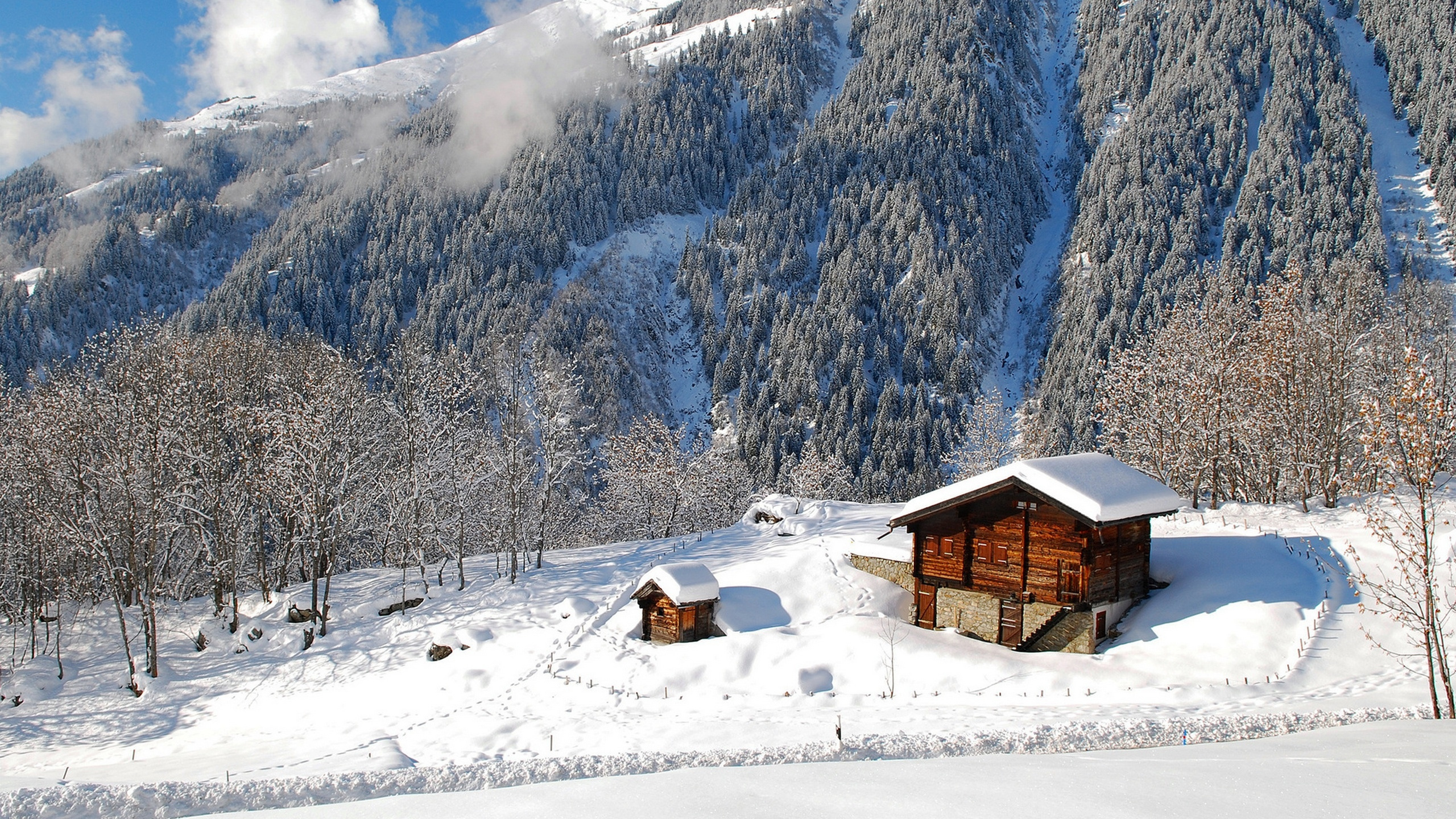 Maison en Bois Marron Sur un Sol Couvert de Neige Près de la Montagne Couverte de Neige Pendant la Journée. Wallpaper in 2560x1440 Resolution